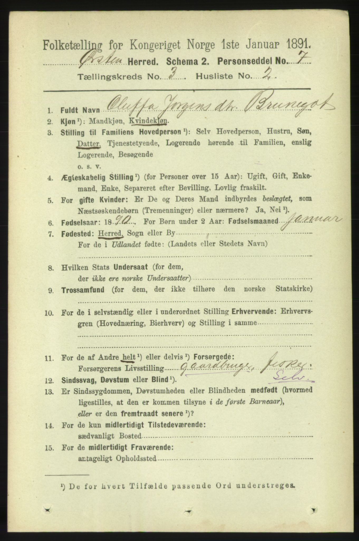 RA, 1891 census for 1520 Ørsta, 1891, p. 1221