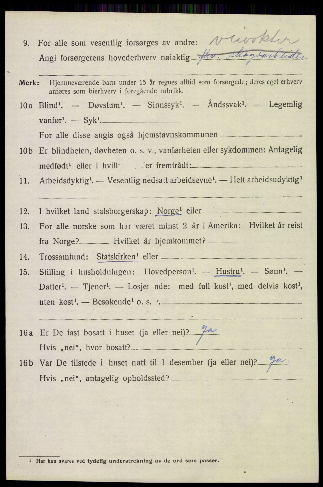 SAH, 1920 census for Åsnes, 1920, p. 11447