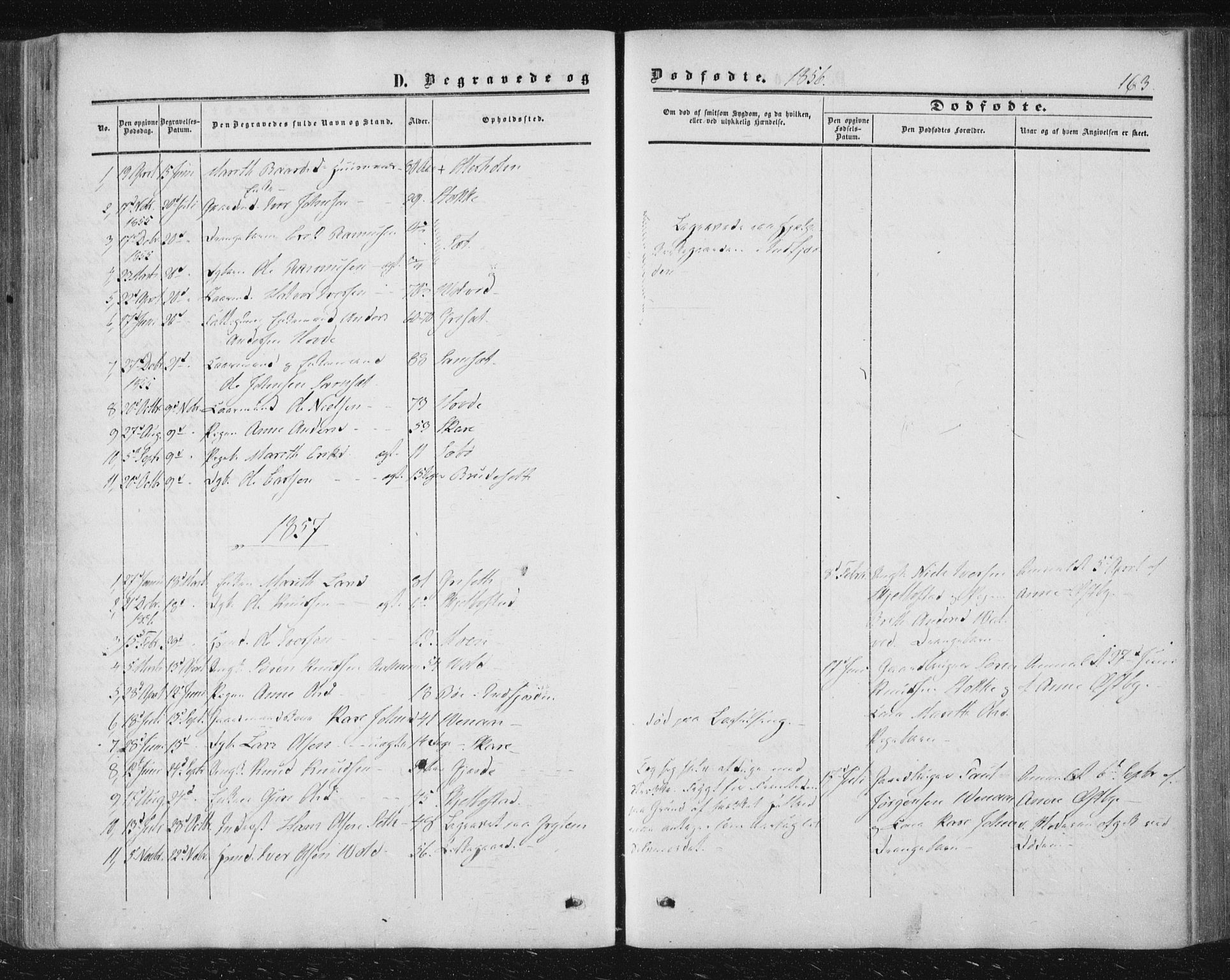 Ministerialprotokoller, klokkerbøker og fødselsregistre - Møre og Romsdal, AV/SAT-A-1454/543/L0562: Parish register (official) no. 543A02, 1854-1884, p. 163