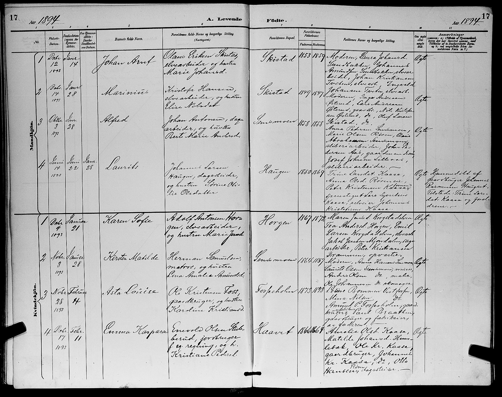 Eiker kirkebøker, SAKO/A-4/G/Ga/L0007: Parish register (copy) no. I 7, 1893-1902, p. 17