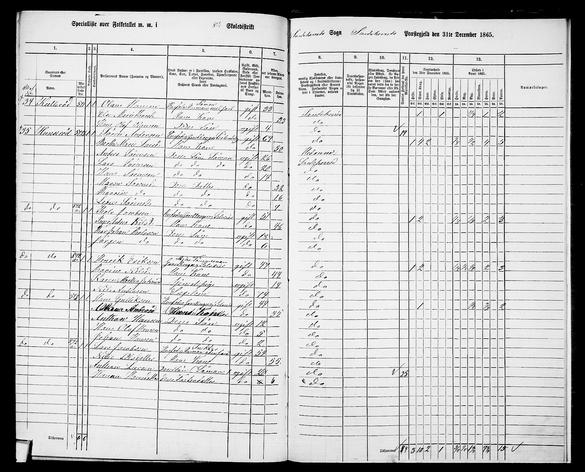 RA, 1865 census for Sandeherred/Sandeherred, 1865, p. 218