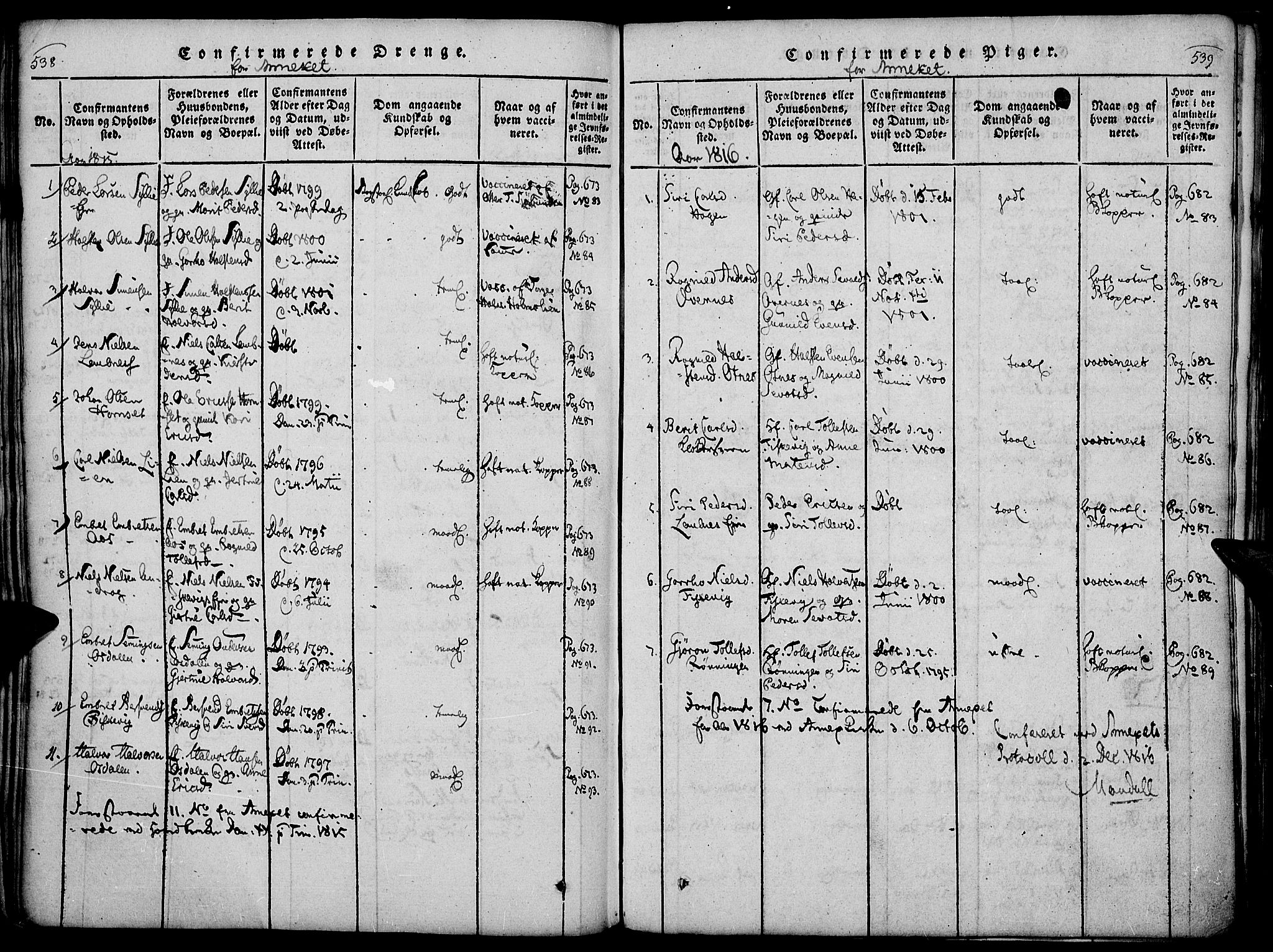 Rendalen prestekontor, AV/SAH-PREST-054/H/Ha/Haa/L0003: Parish register (official) no. 3, 1815-1829, p. 538-539