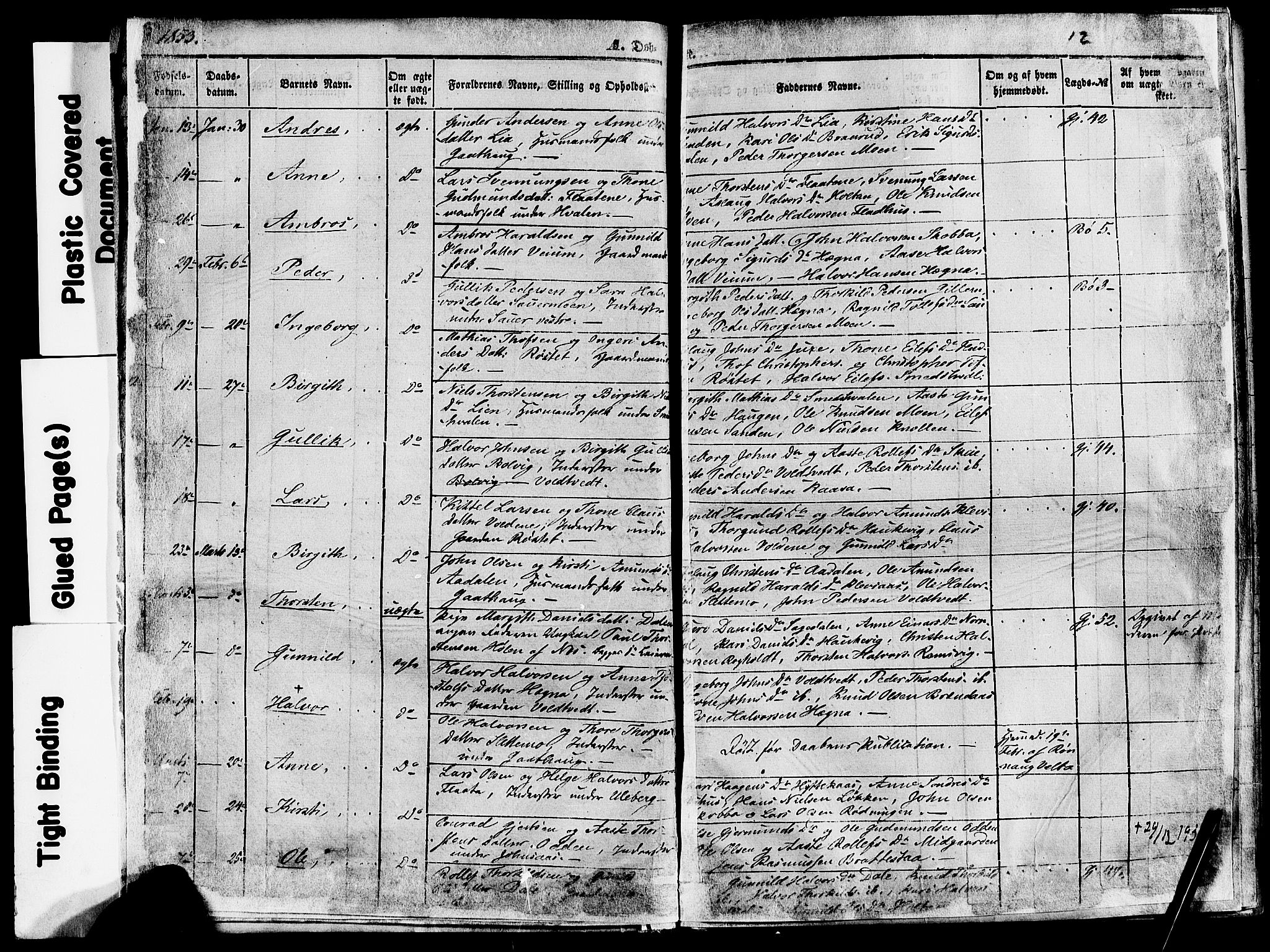 Sauherad kirkebøker, AV/SAKO-A-298/F/Fa/L0007: Parish register (official) no. I 7, 1851-1873, p. 12