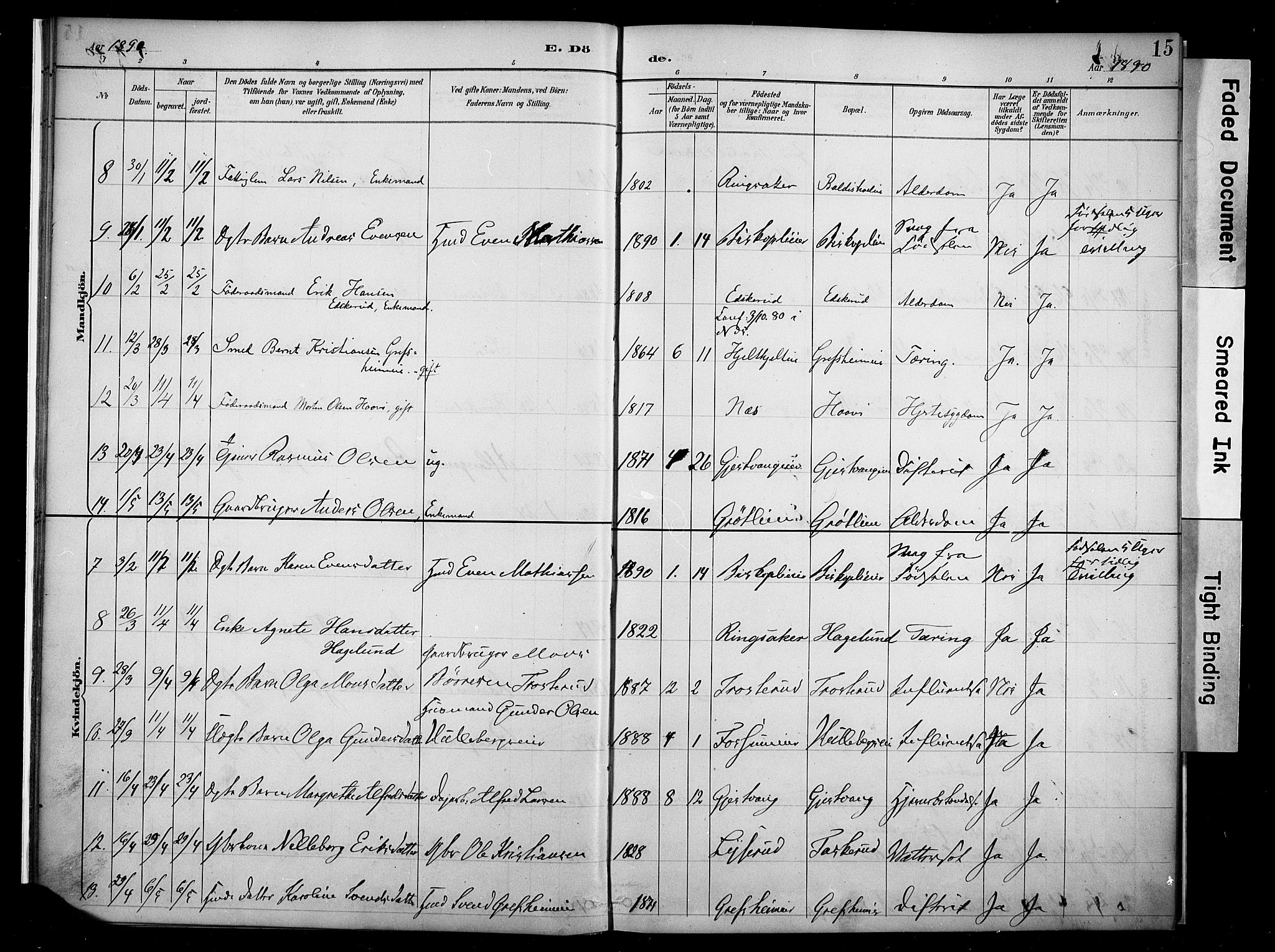 Nes prestekontor, Hedmark, AV/SAH-PREST-020/K/Ka/L0011: Parish register (official) no. 11, 1887-1905, p. 15