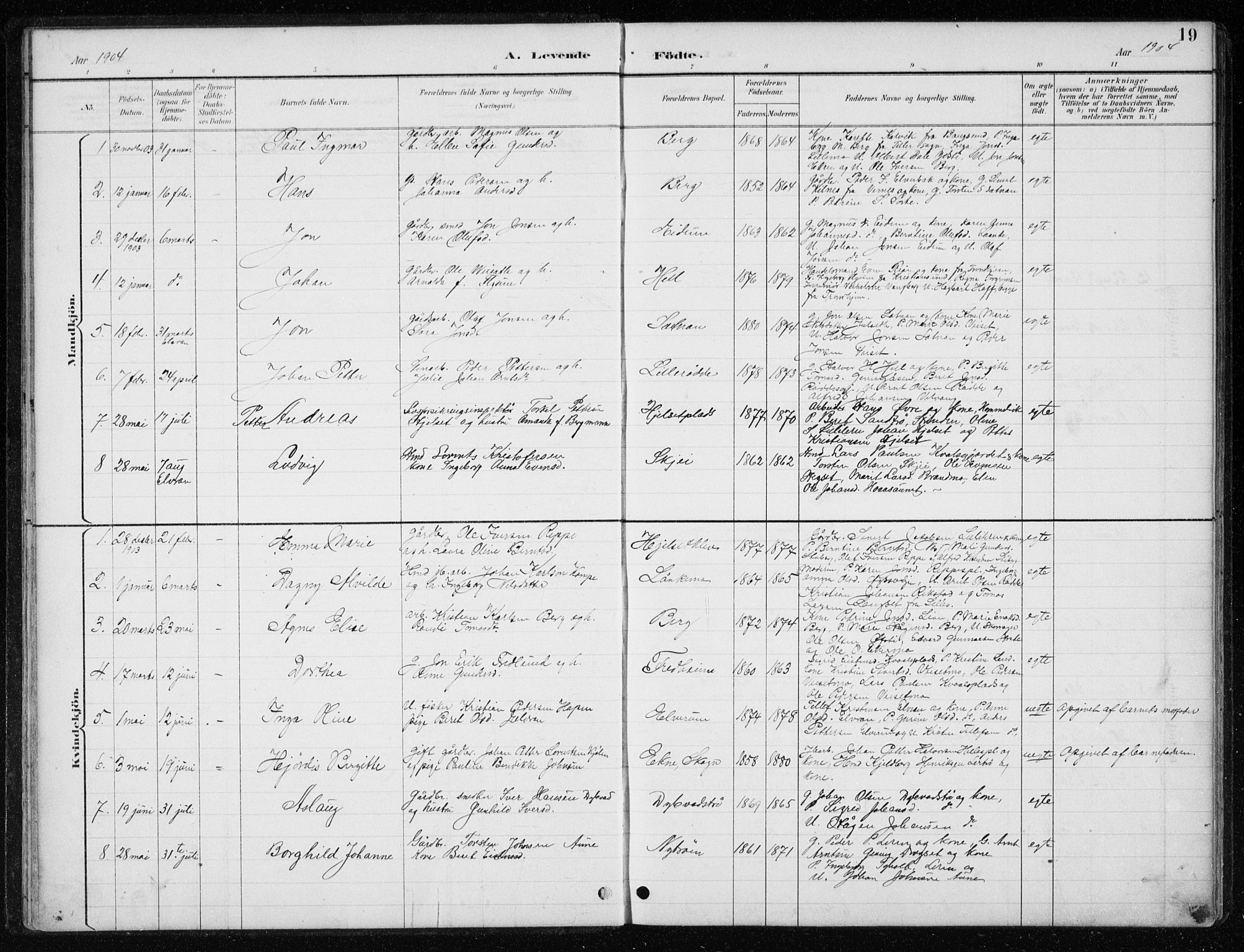 Ministerialprotokoller, klokkerbøker og fødselsregistre - Nord-Trøndelag, SAT/A-1458/710/L0096: Parish register (copy) no. 710C01, 1892-1925, p. 19