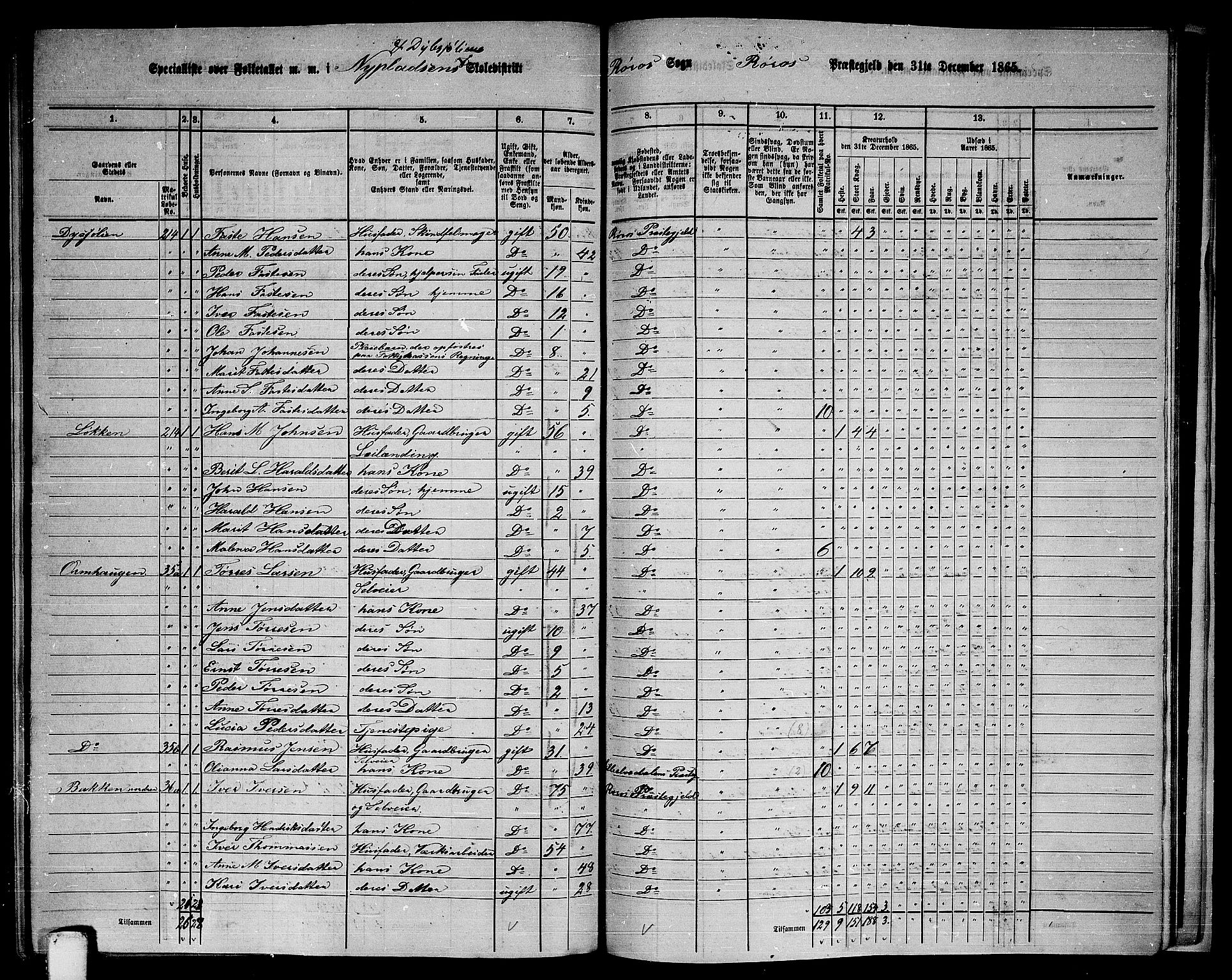 RA, 1865 census for Røros, 1865, p. 141