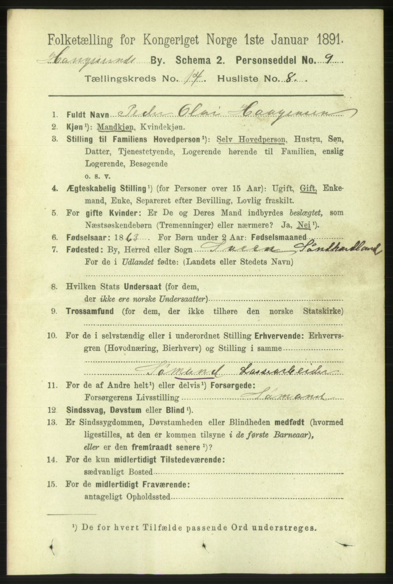 RA, 1891 census for 1106 Haugesund, 1891, p. 4732