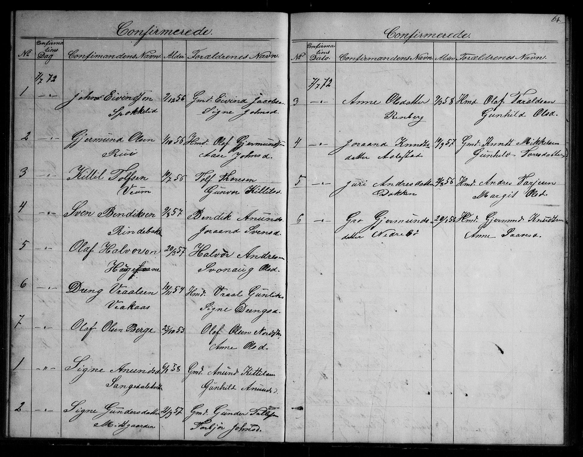 Fyresdal kirkebøker, SAKO/A-263/G/Gb/L0001: Parish register (copy) no. II 1, 1864-1890, p. 64