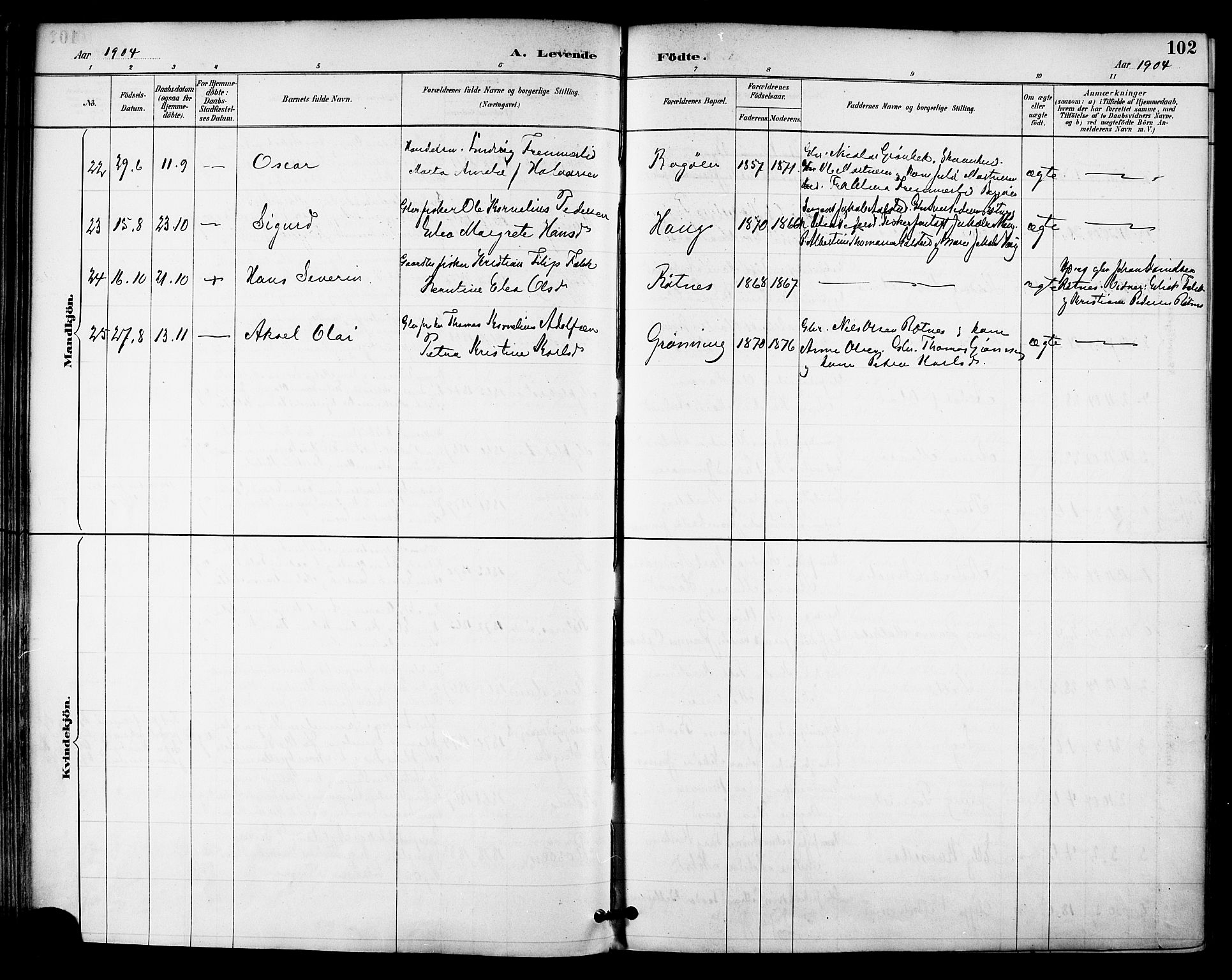 Ministerialprotokoller, klokkerbøker og fødselsregistre - Nordland, AV/SAT-A-1459/855/L0803: Parish register (official) no. 855A11, 1887-1905, p. 102