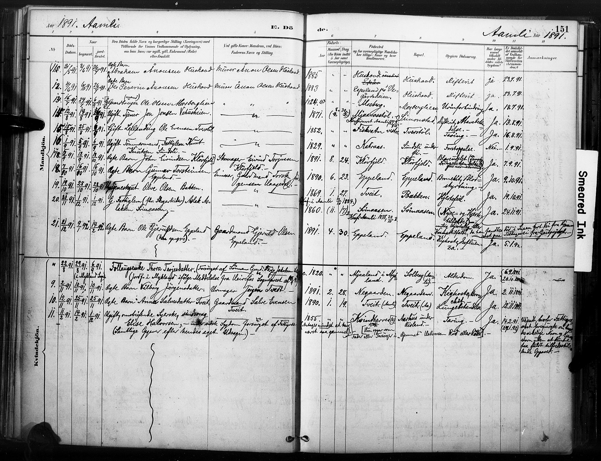 Åmli sokneprestkontor, SAK/1111-0050/F/Fa/Fac/L0010: Parish register (official) no. A 10 /1, 1885-1899, p. 151