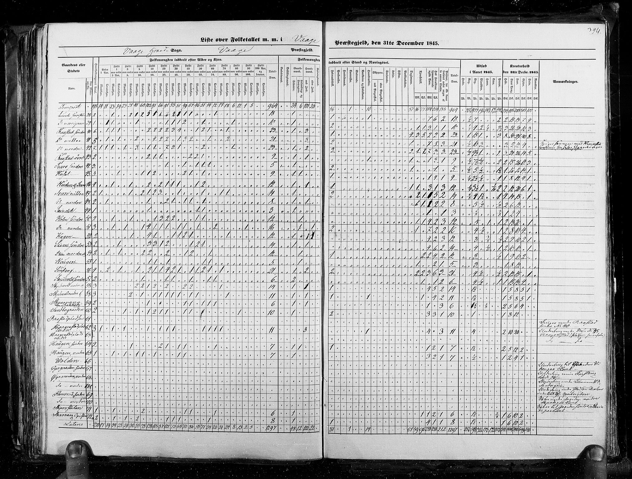 RA, Census 1845, vol. 3: Hedemarken amt og Kristians amt, 1845, p. 394