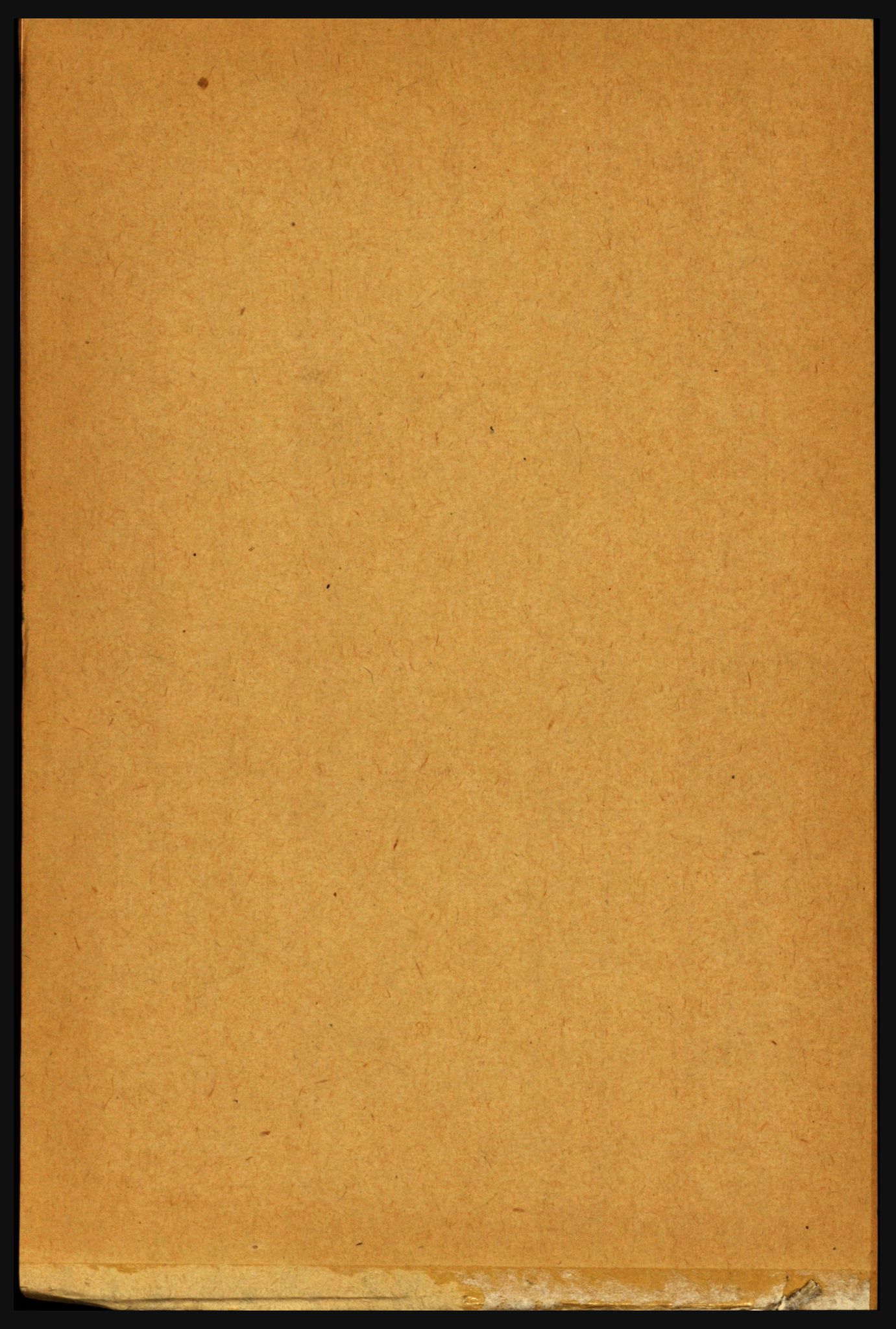 RA, 1891 census for 1719 Skogn, 1891, p. 2357