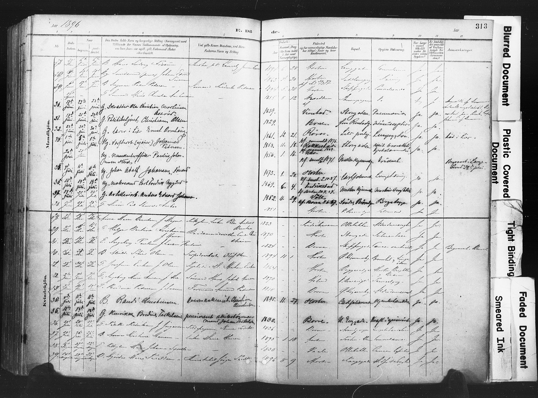 Horten kirkebøker, AV/SAKO-A-348/F/Fa/L0005: Parish register (official) no. 5, 1896-1904, p. 313