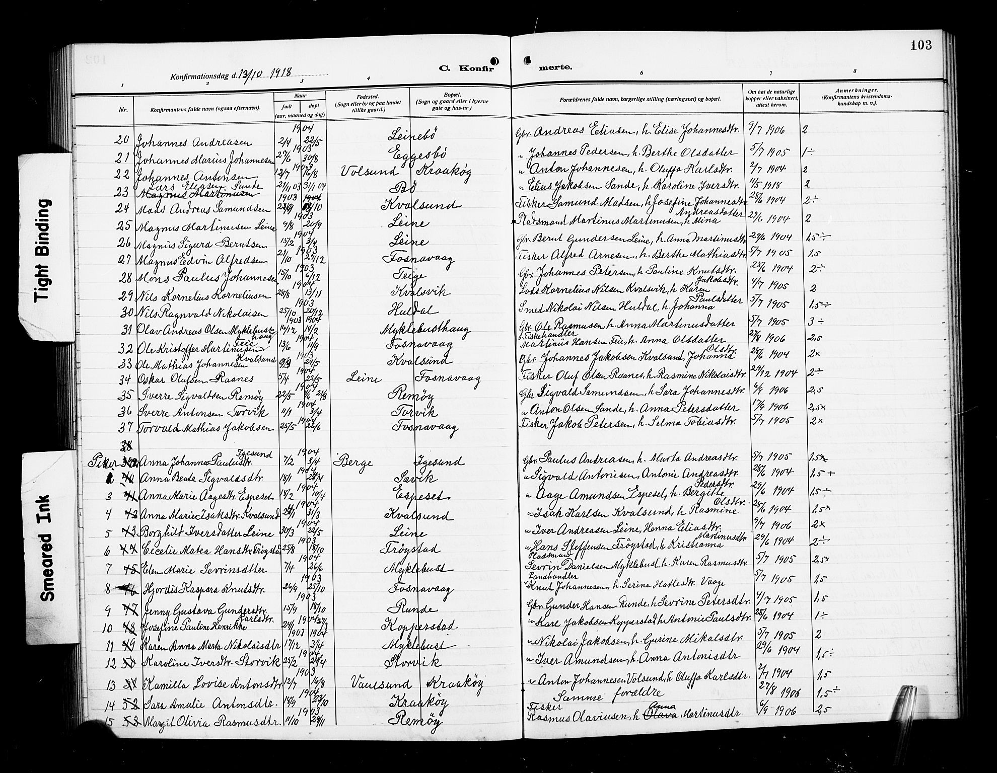 Ministerialprotokoller, klokkerbøker og fødselsregistre - Møre og Romsdal, AV/SAT-A-1454/507/L0083: Parish register (copy) no. 507C06, 1912-1919, p. 103