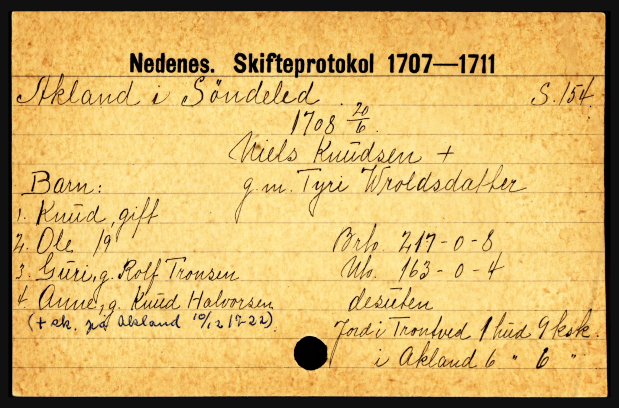 Nedenes sorenskriveri før 1824, SAK/1221-0007/H, p. 19