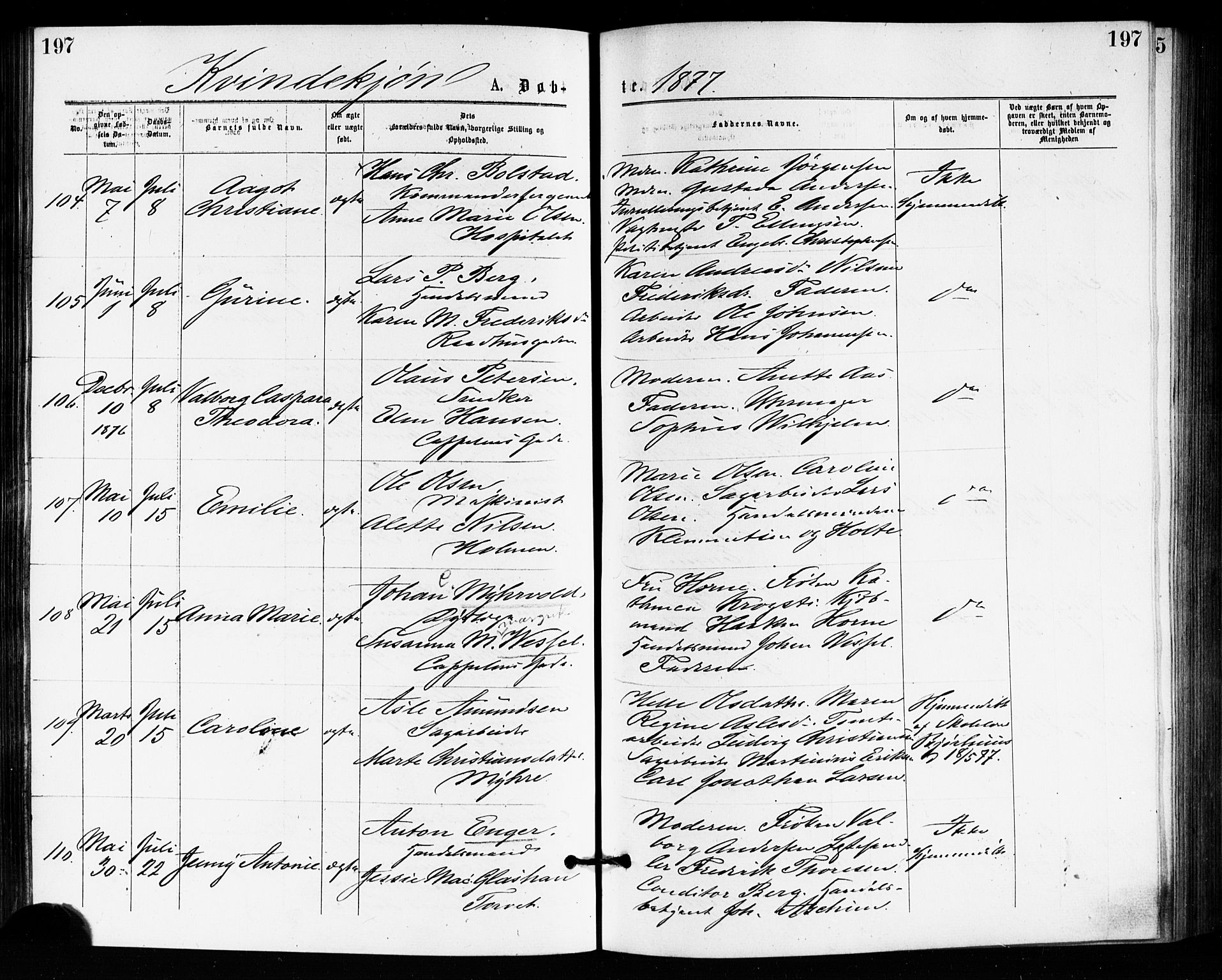 Bragernes kirkebøker, SAKO/A-6/F/Fb/L0005: Parish register (official) no. II 5, 1875-1877, p. 197