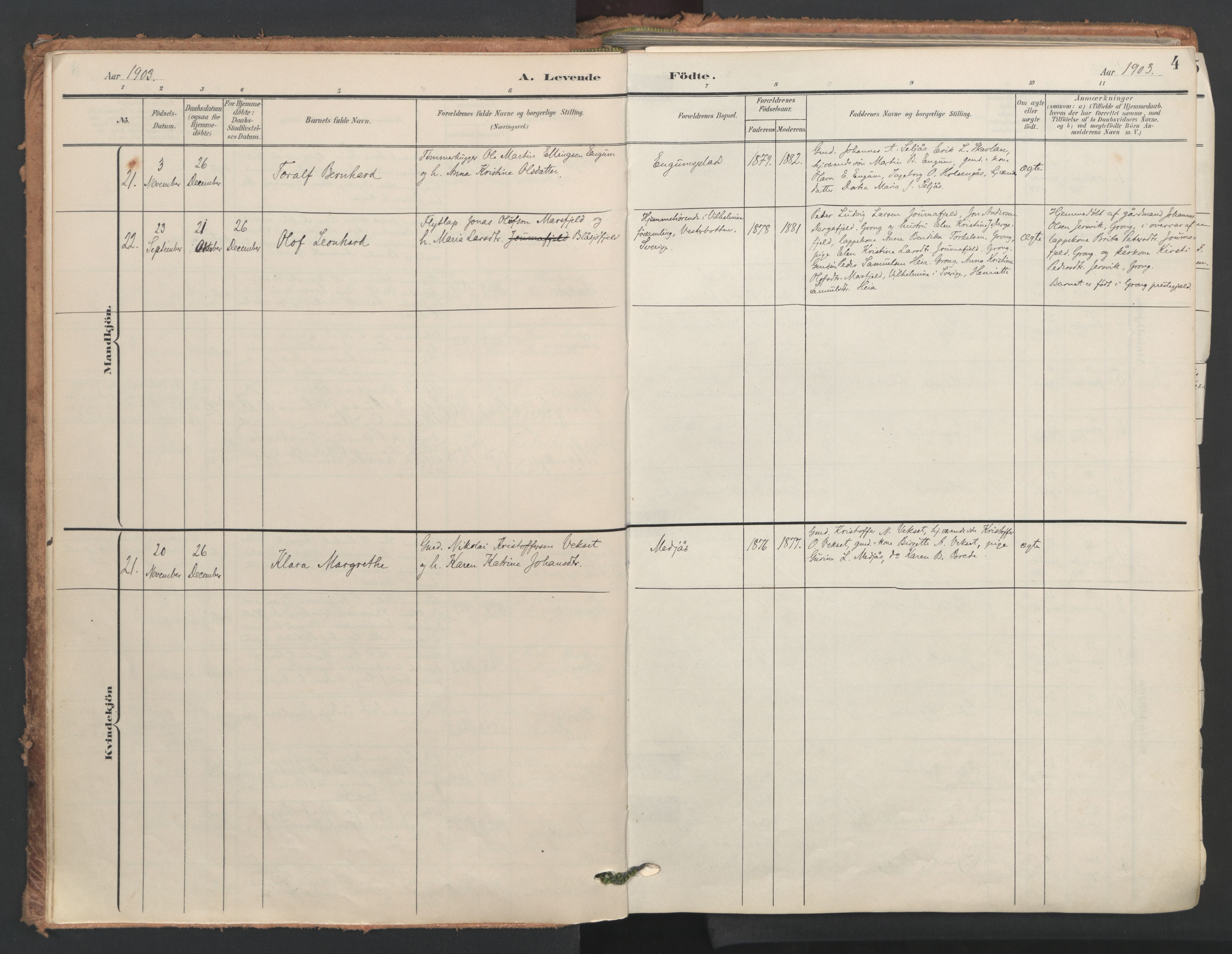Ministerialprotokoller, klokkerbøker og fødselsregistre - Nord-Trøndelag, SAT/A-1458/749/L0477: Parish register (official) no. 749A11, 1902-1927, p. 4