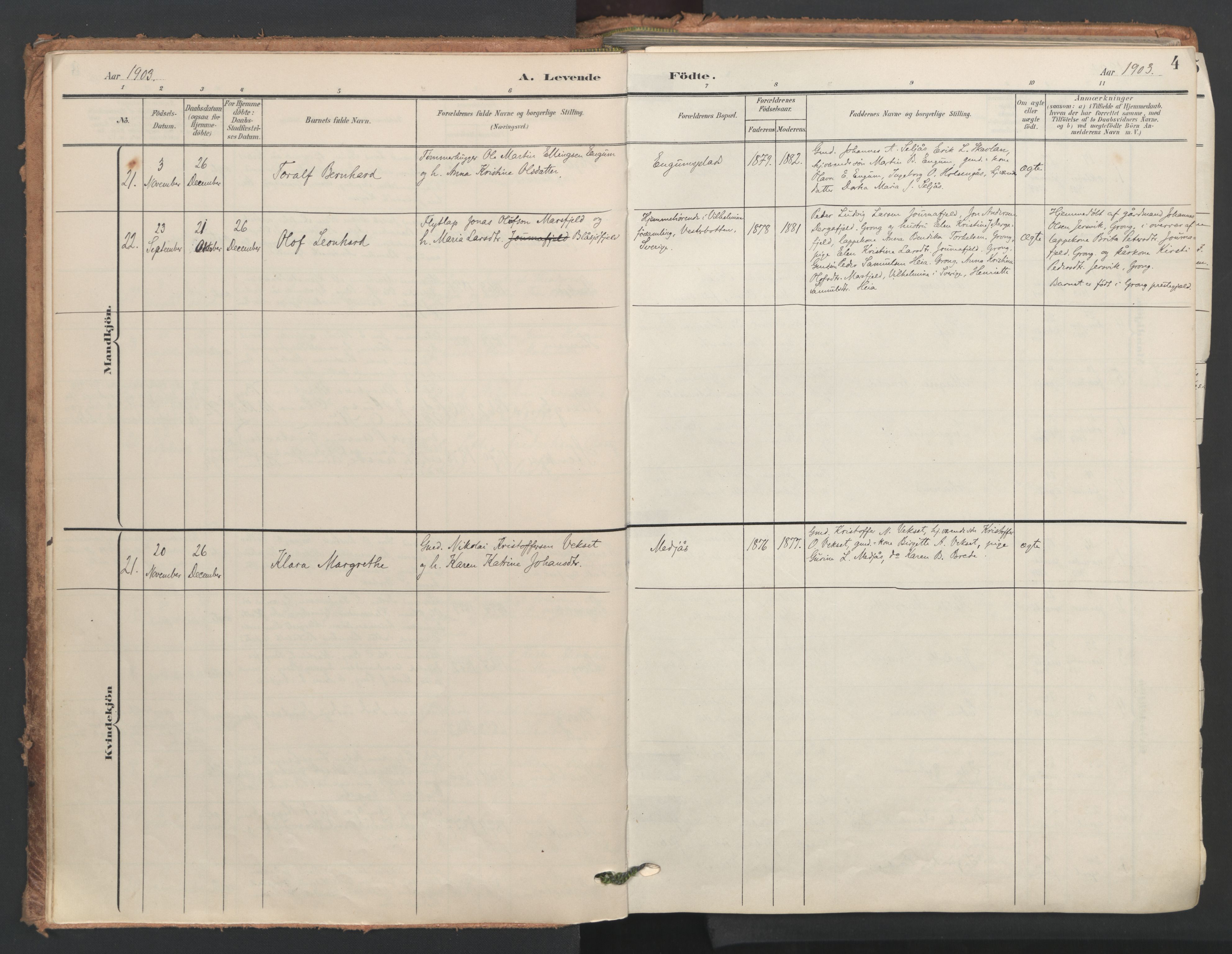 Ministerialprotokoller, klokkerbøker og fødselsregistre - Nord-Trøndelag, AV/SAT-A-1458/749/L0477: Parish register (official) no. 749A11, 1902-1927, p. 4