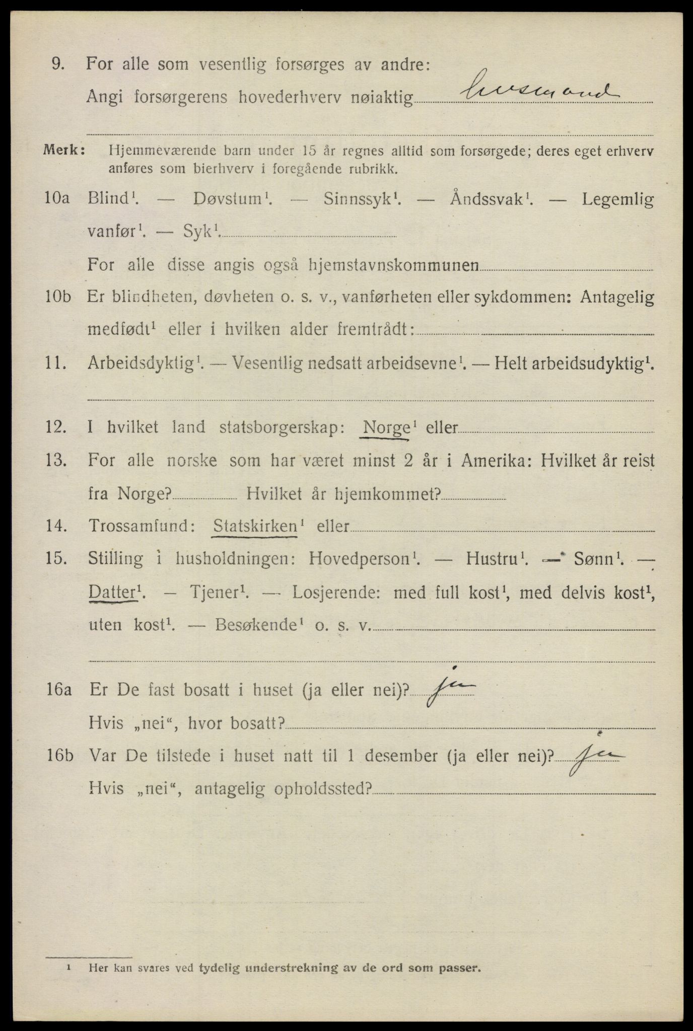 SAO, 1920 census for Nes, 1920, p. 16153