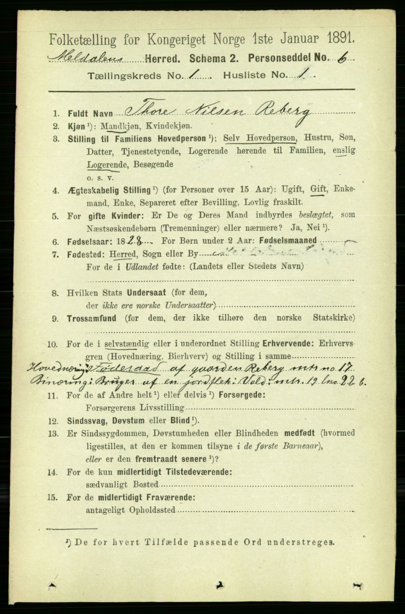 RA, 1891 census for 1636 Meldal, 1891, p. 160