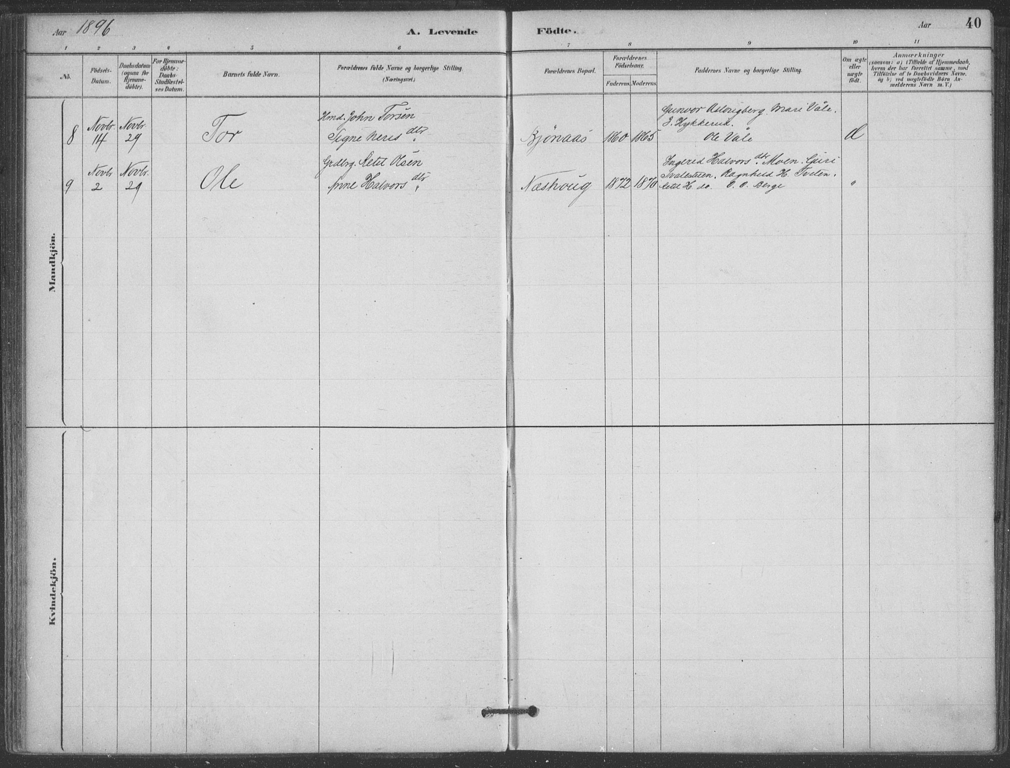 Hjartdal kirkebøker, AV/SAKO-A-270/F/Fa/L0010: Parish register (official) no. I 10, 1880-1929, p. 40