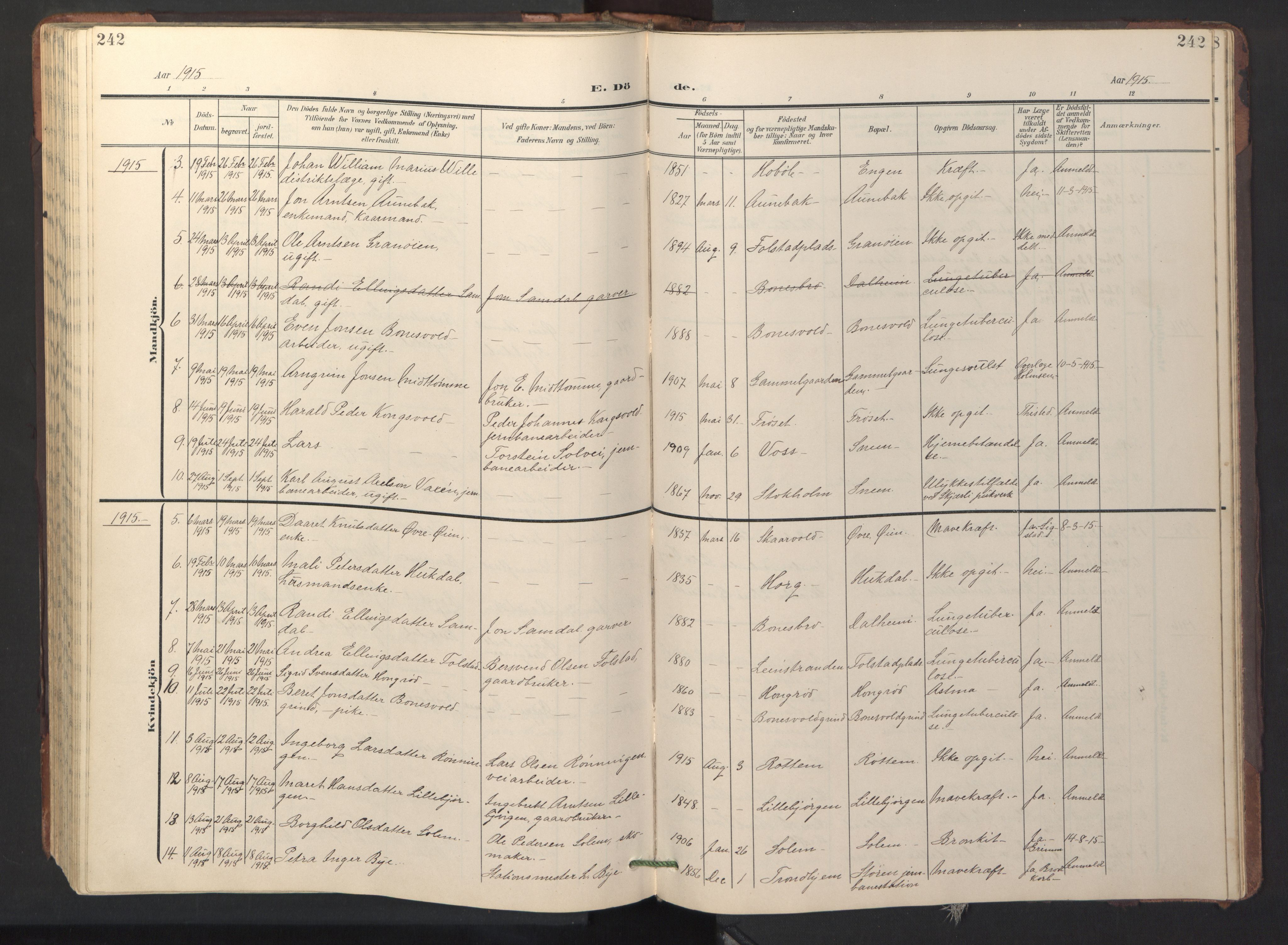 Ministerialprotokoller, klokkerbøker og fødselsregistre - Sør-Trøndelag, SAT/A-1456/687/L1019: Parish register (copy) no. 687C03, 1904-1931, p. 242