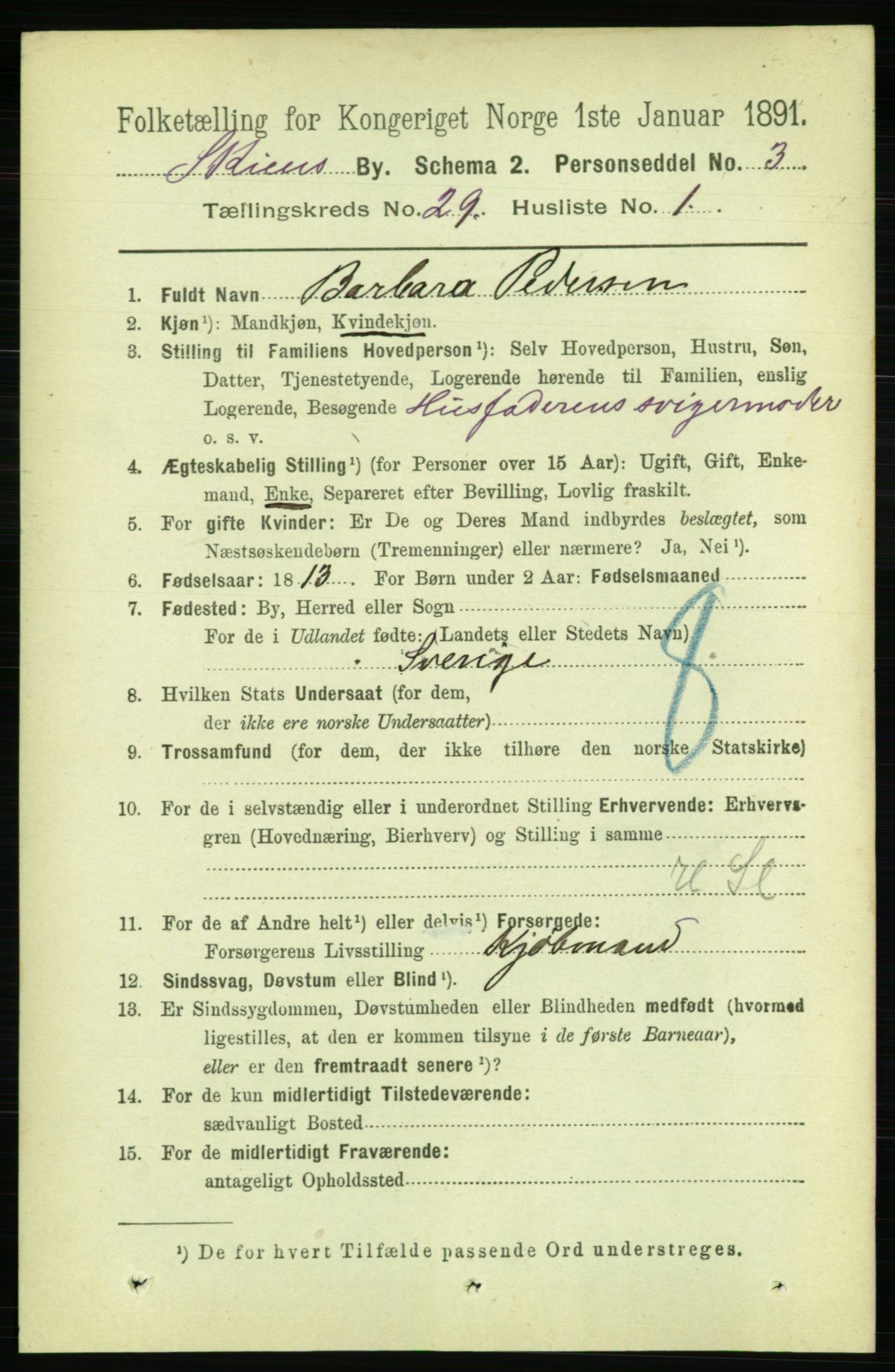 RA, 1891 census for 0806 Skien, 1891, p. 6695