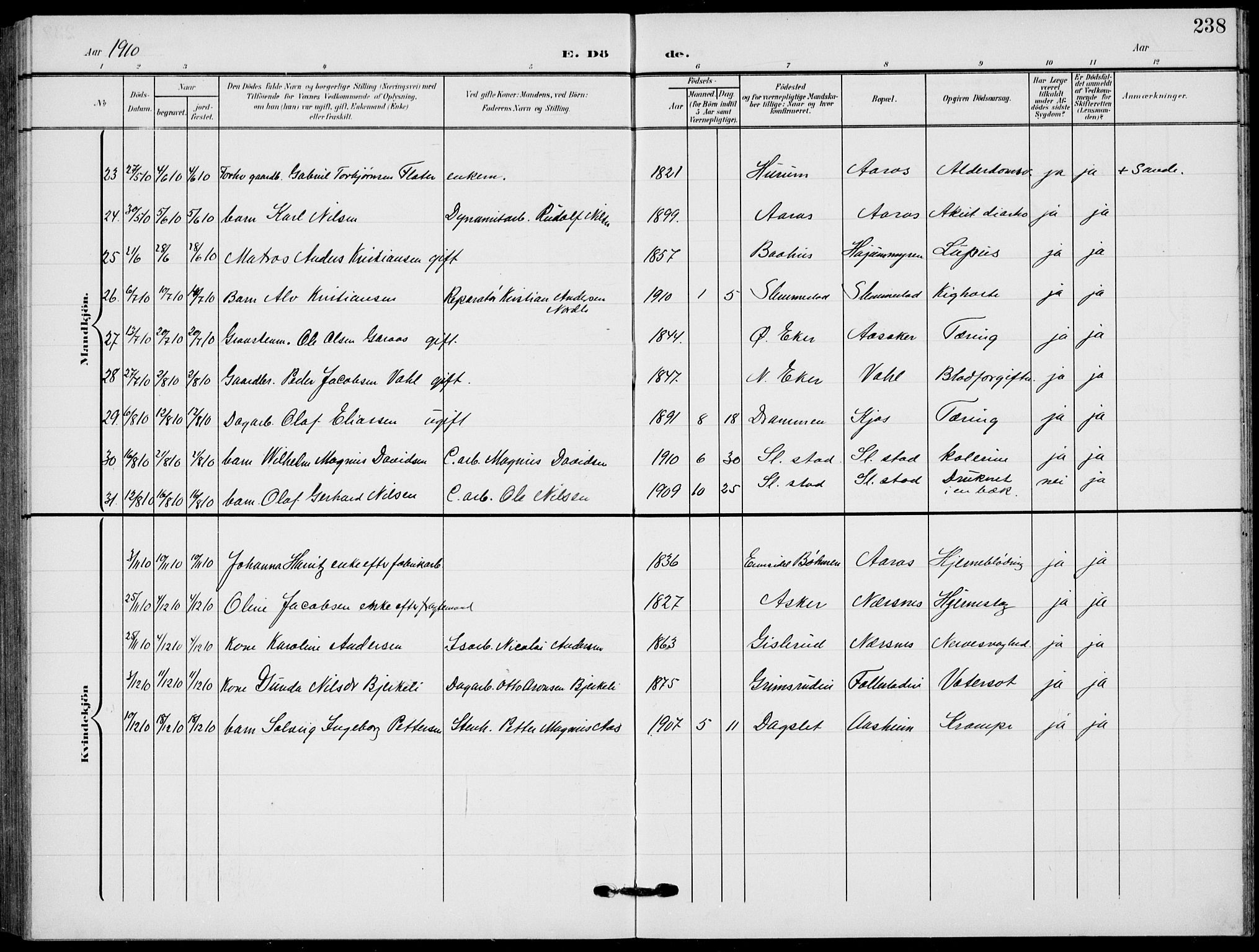 Røyken kirkebøker, AV/SAKO-A-241/G/Ga/L0005: Parish register (copy) no. 5, 1903-1918, p. 238