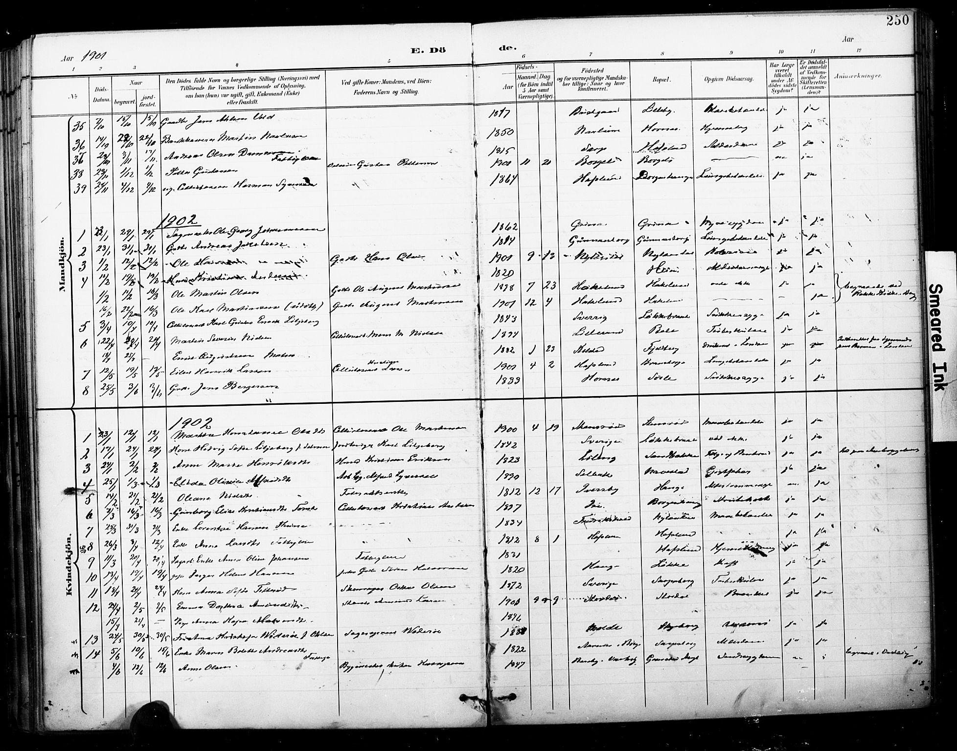 Skjeberg prestekontor Kirkebøker, SAO/A-10923/F/Fa/L0010: Parish register (official) no. I 10, 1898-1911, p. 250