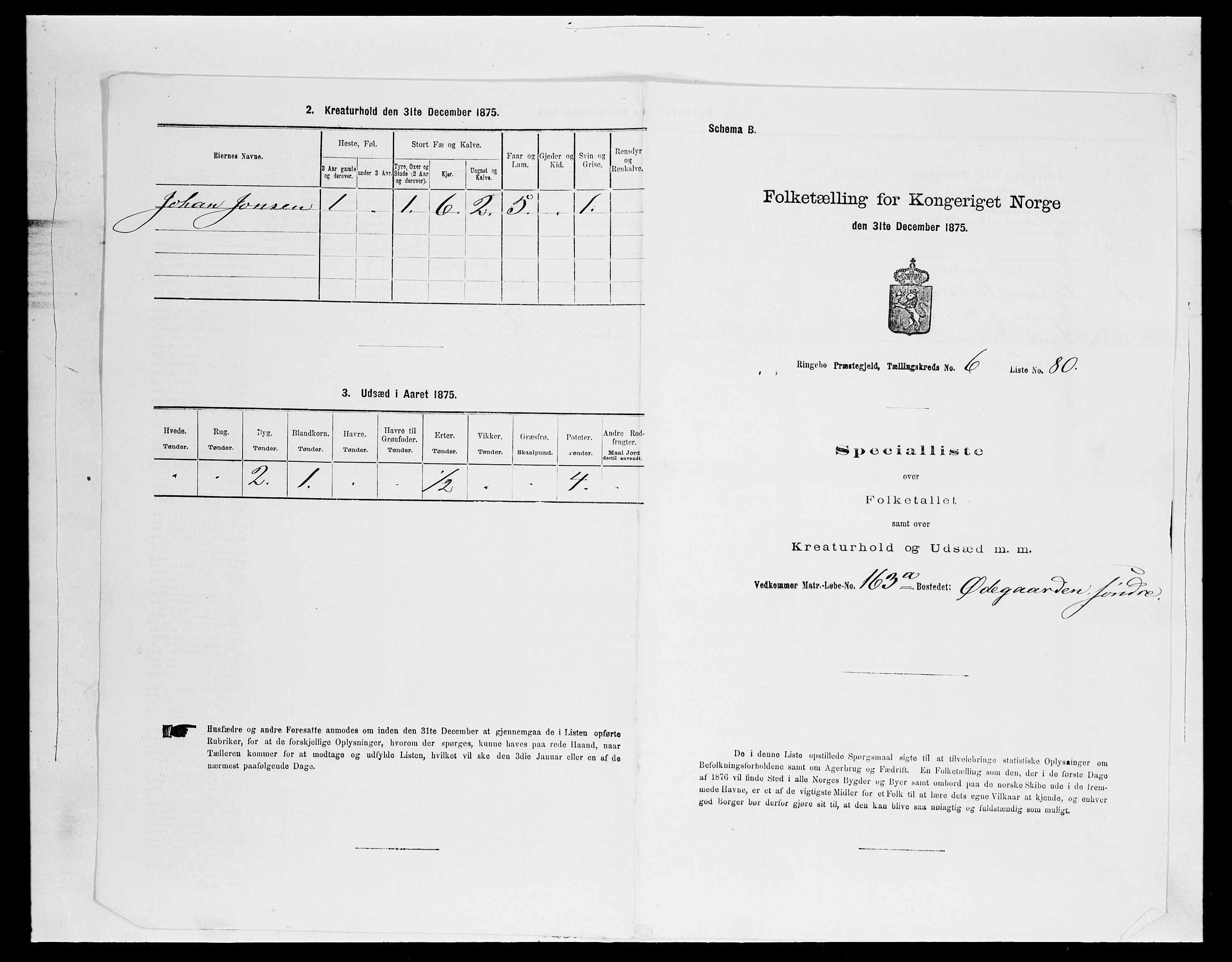 SAH, 1875 census for 0520P Ringebu, 1875, p. 999