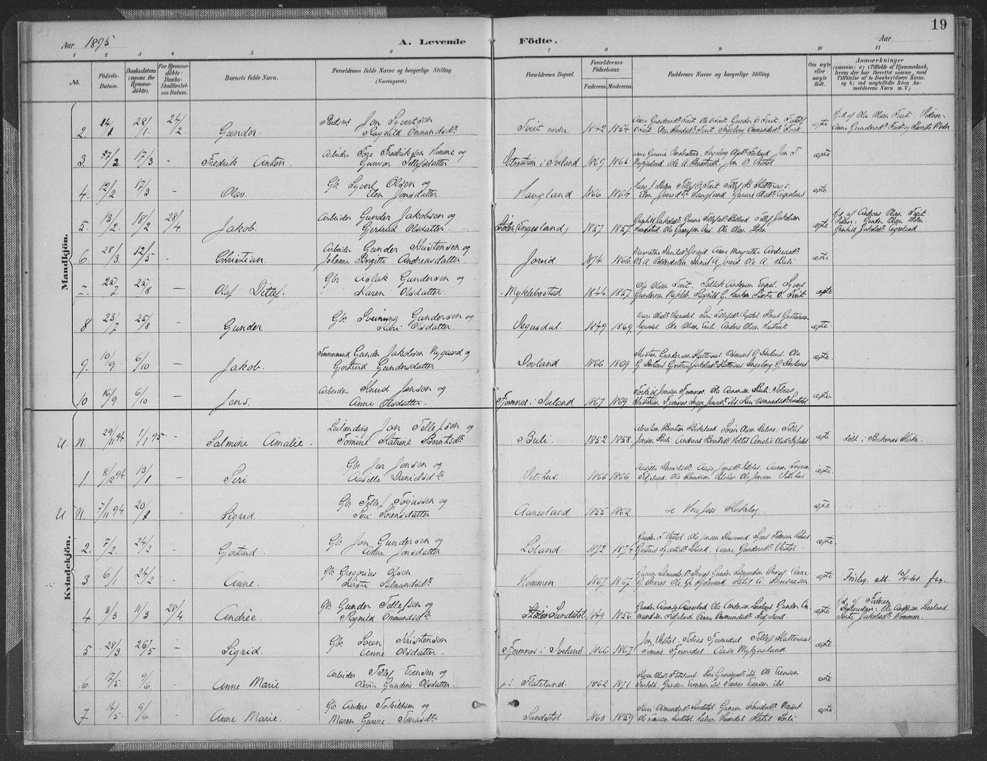 Herefoss sokneprestkontor, SAK/1111-0019/F/Fa/Fab/L0004: Parish register (official) no. A 4, 1887-1909, p. 19