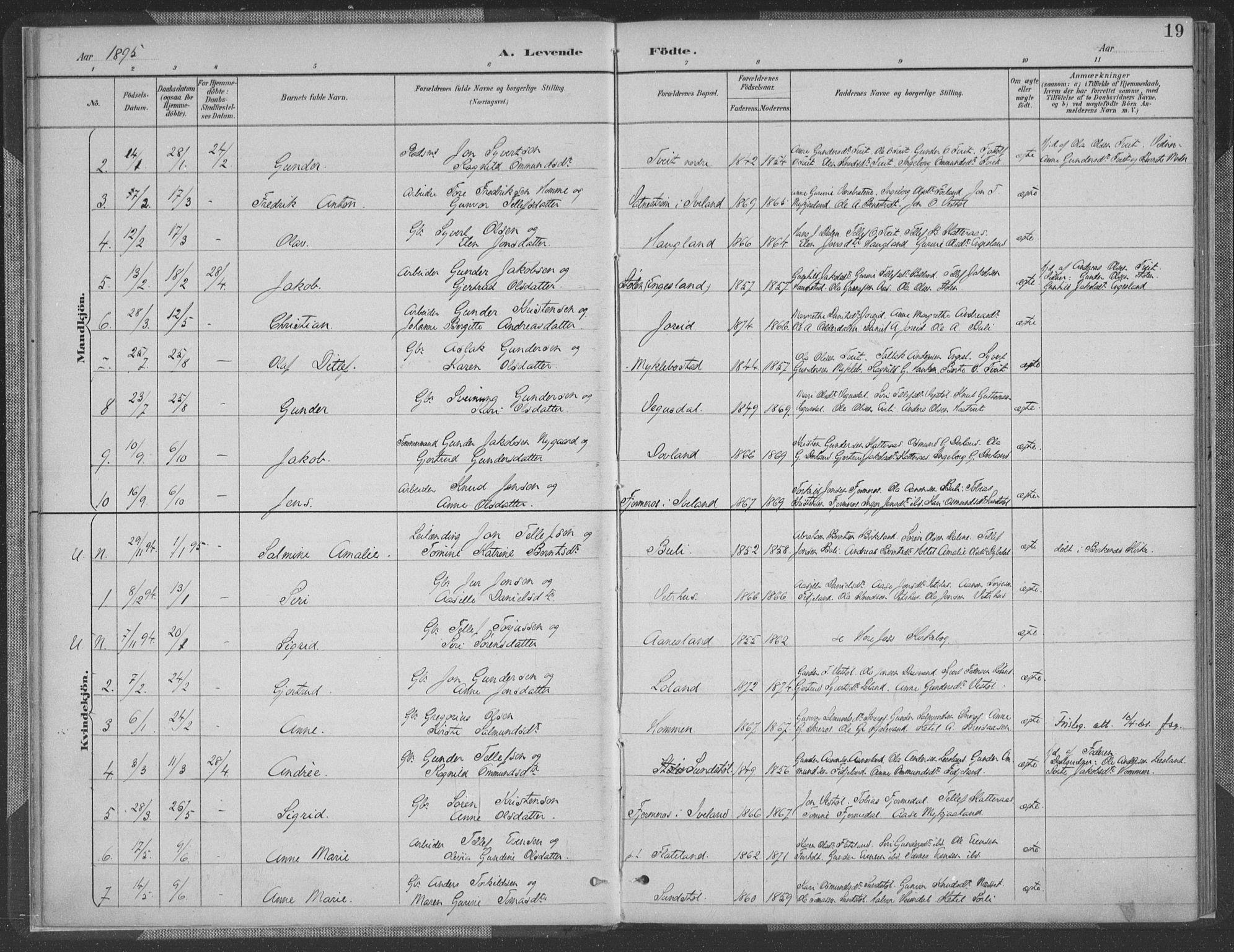 Herefoss sokneprestkontor, AV/SAK-1111-0019/F/Fa/Fab/L0004: Parish register (official) no. A 4, 1887-1909, p. 19