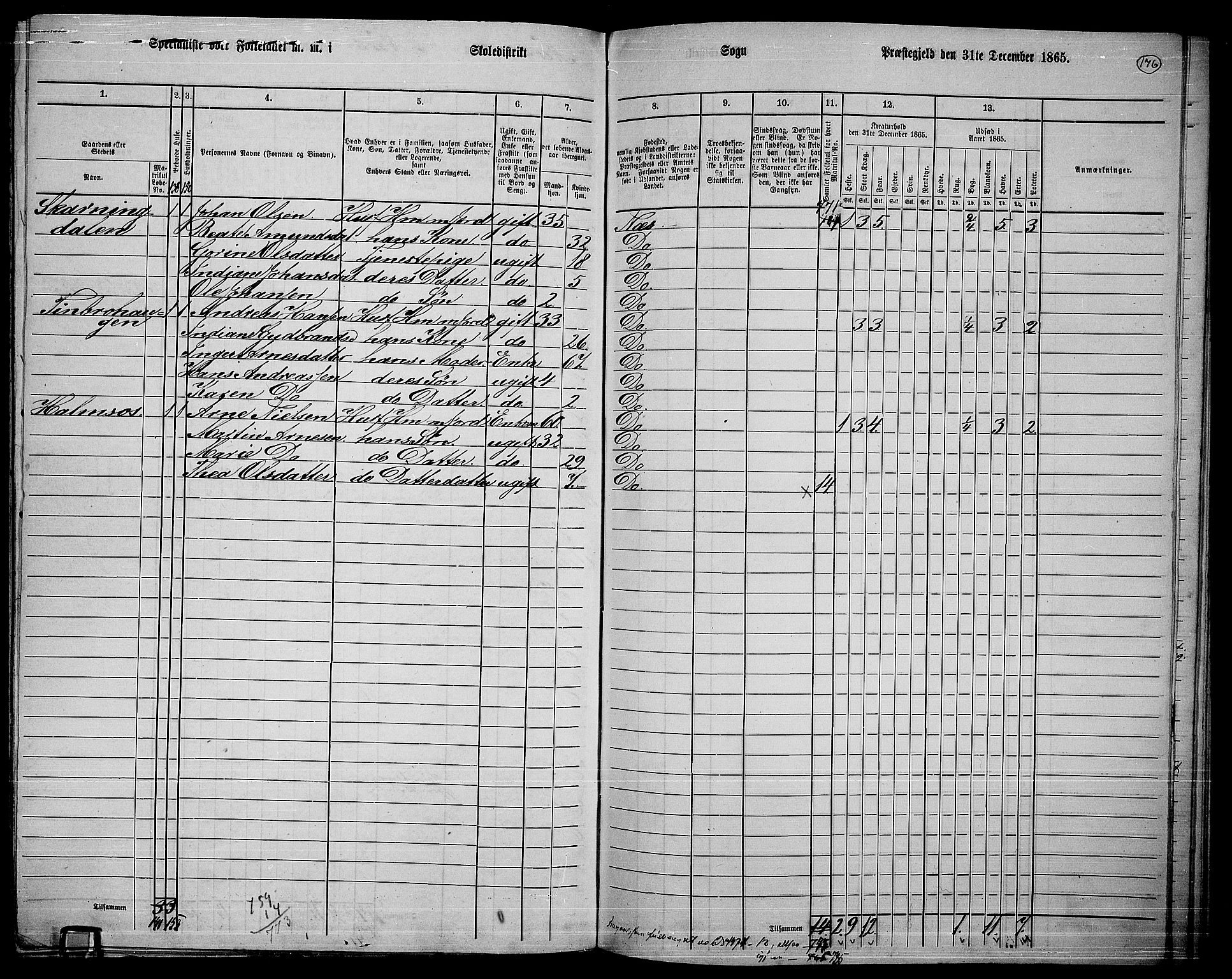 RA, 1865 census for Nes, 1865, p. 162