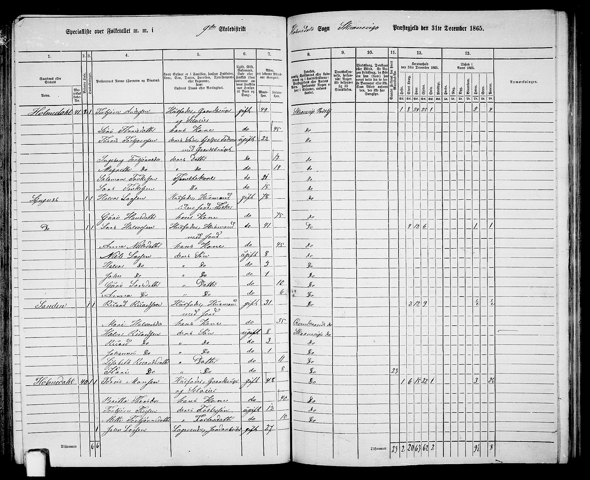 RA, 1865 census for Skånevik, 1865, p. 132