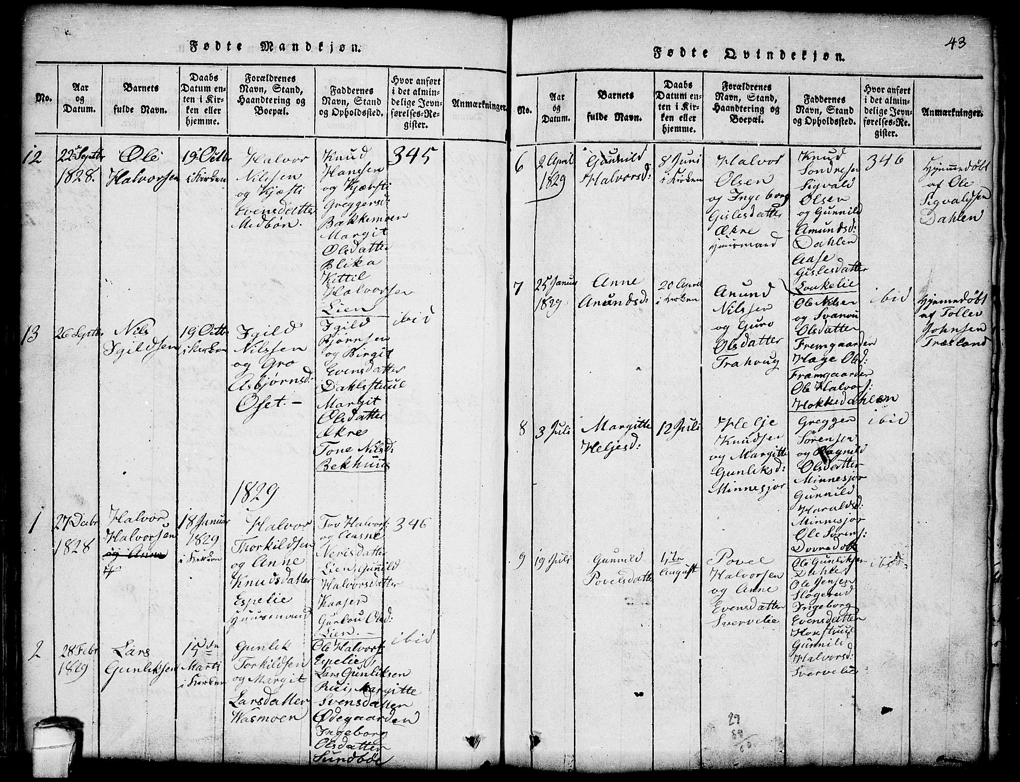 Seljord kirkebøker, AV/SAKO-A-20/G/Gb/L0002: Parish register (copy) no. II 2, 1815-1854, p. 43