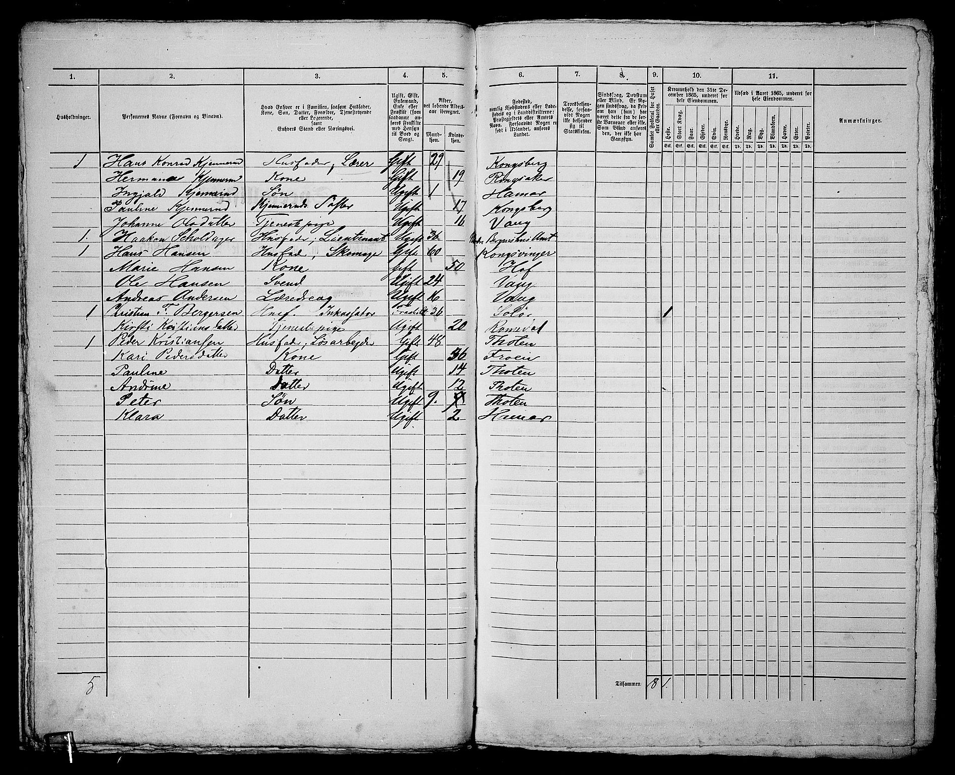 RA, 1865 census for Vang/Hamar, 1865, p. 46