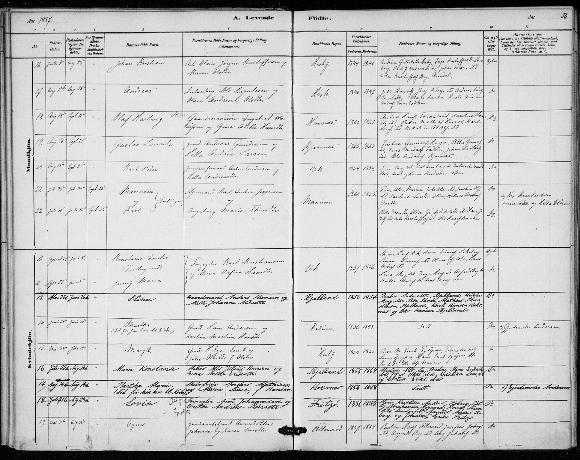 Sem kirkebøker, SAKO/A-5/F/Fa/L0010: Parish register (official) no. I 10, 1878-1887, p. 36