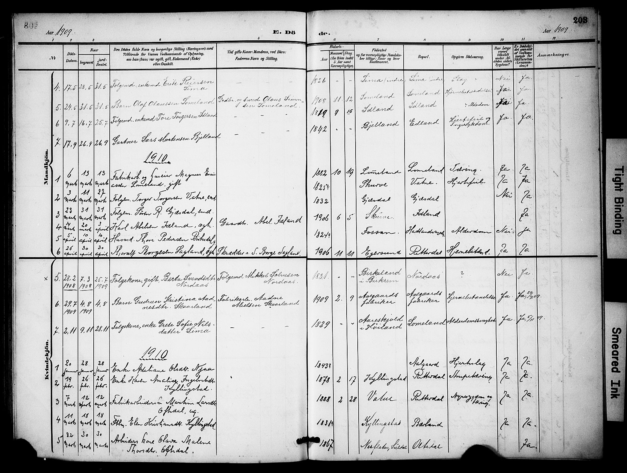 Lye sokneprestkontor, SAST/A-101794/001/30BB/L0009: Parish register (copy) no. B 9, 1902-1923, p. 203