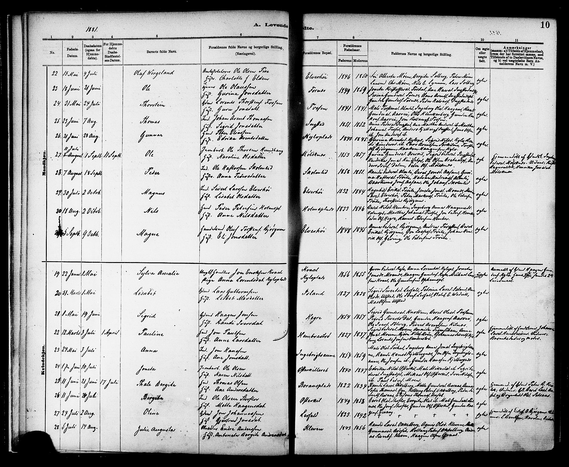 Ministerialprotokoller, klokkerbøker og fødselsregistre - Nord-Trøndelag, SAT/A-1458/703/L0030: Parish register (official) no. 703A03, 1880-1892, p. 10
