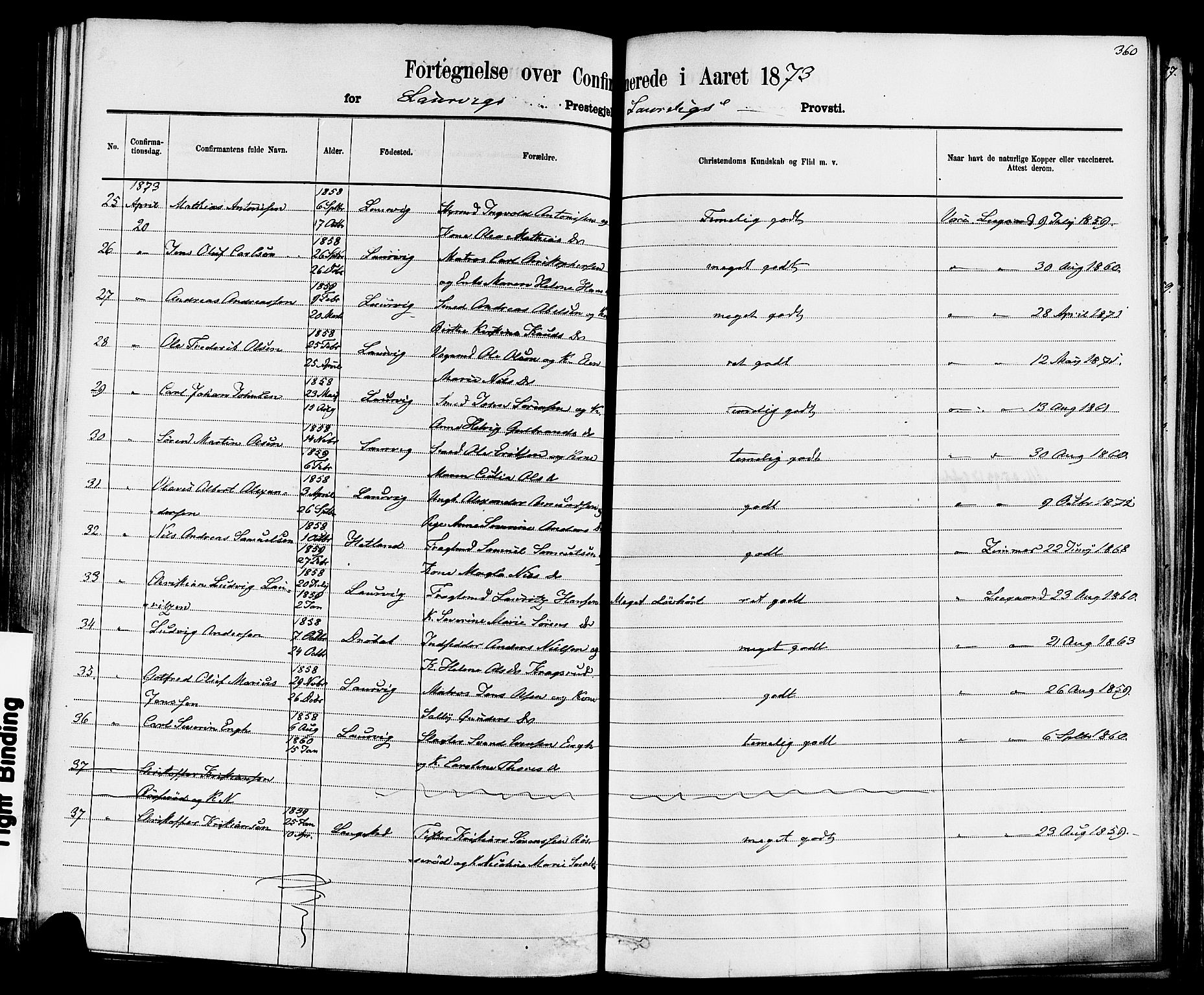 Larvik kirkebøker, SAKO/A-352/F/Fa/L0006: Parish register (official) no. I 6, 1871-1883, p. 360