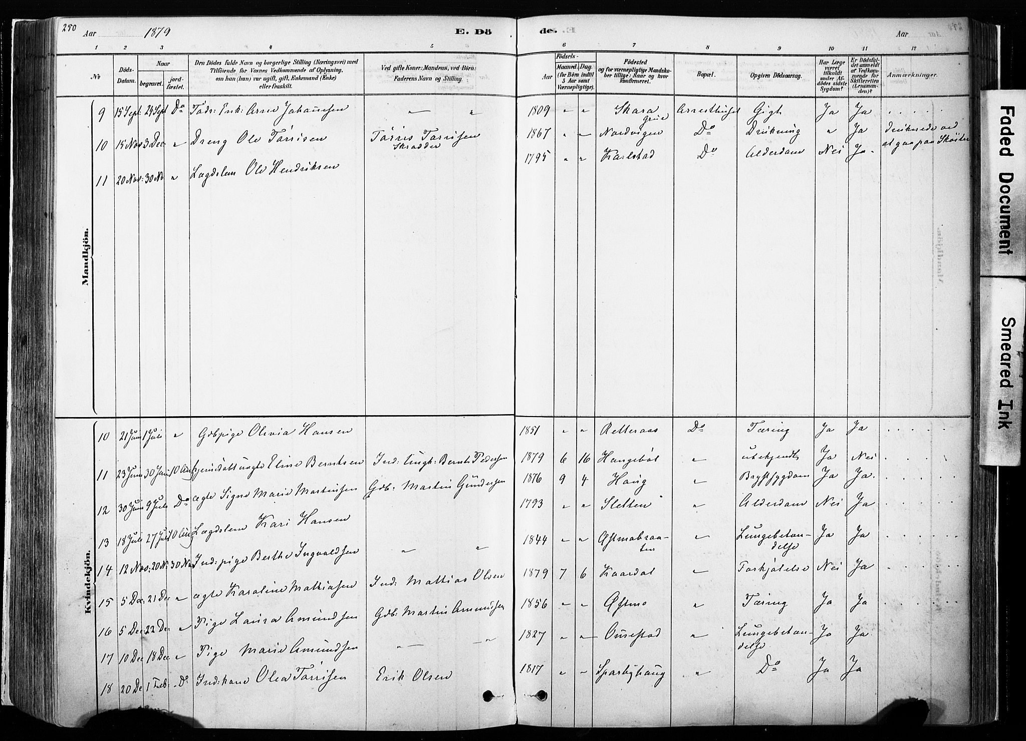 Hof prestekontor, AV/SAH-PREST-038/H/Ha/Haa/L0010: Parish register (official) no. 10, 1878-1909, p. 250