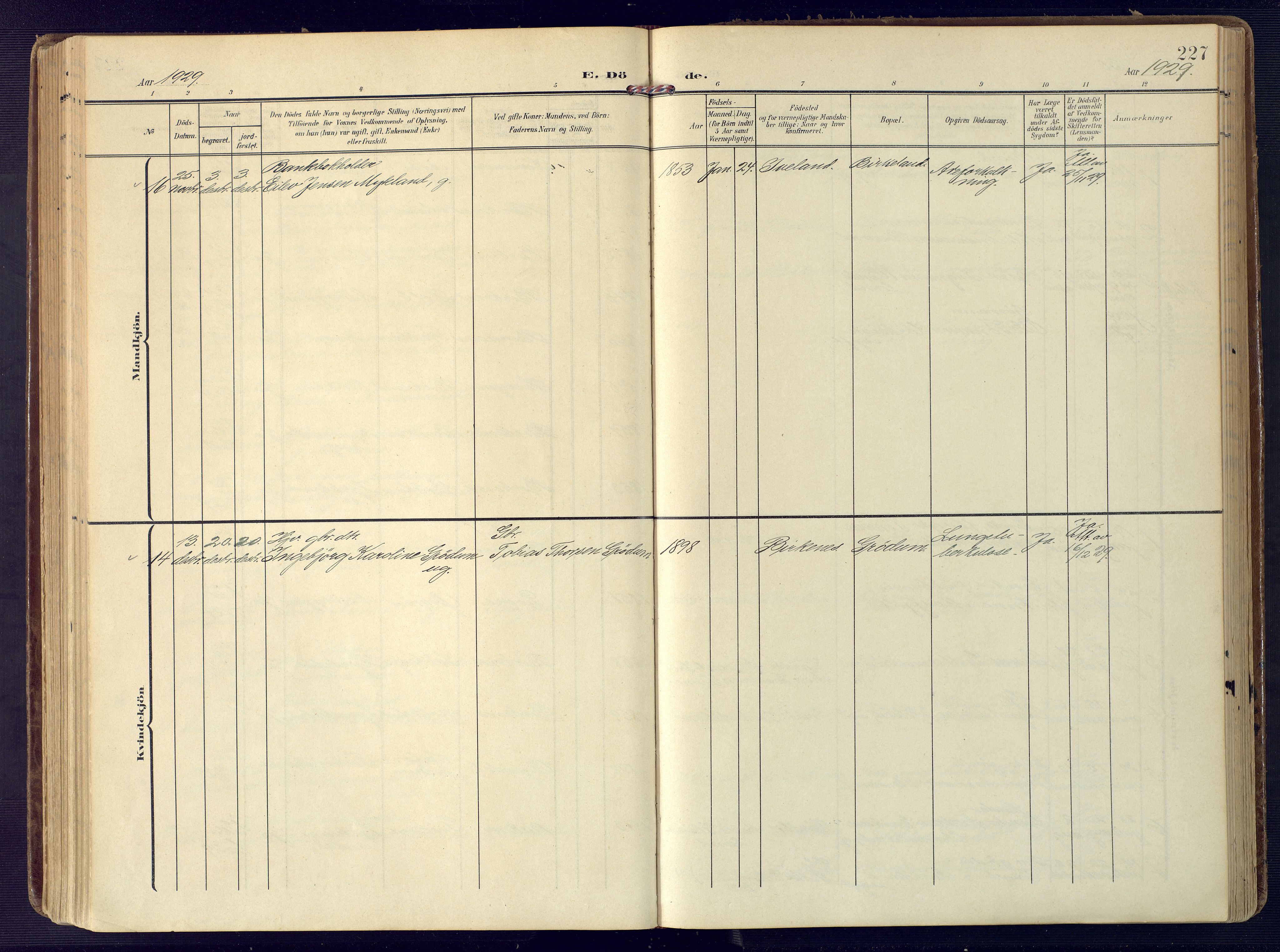 Birkenes sokneprestkontor, AV/SAK-1111-0004/F/Fa/L0006: Parish register (official) no. A 6, 1908-1932, p. 227