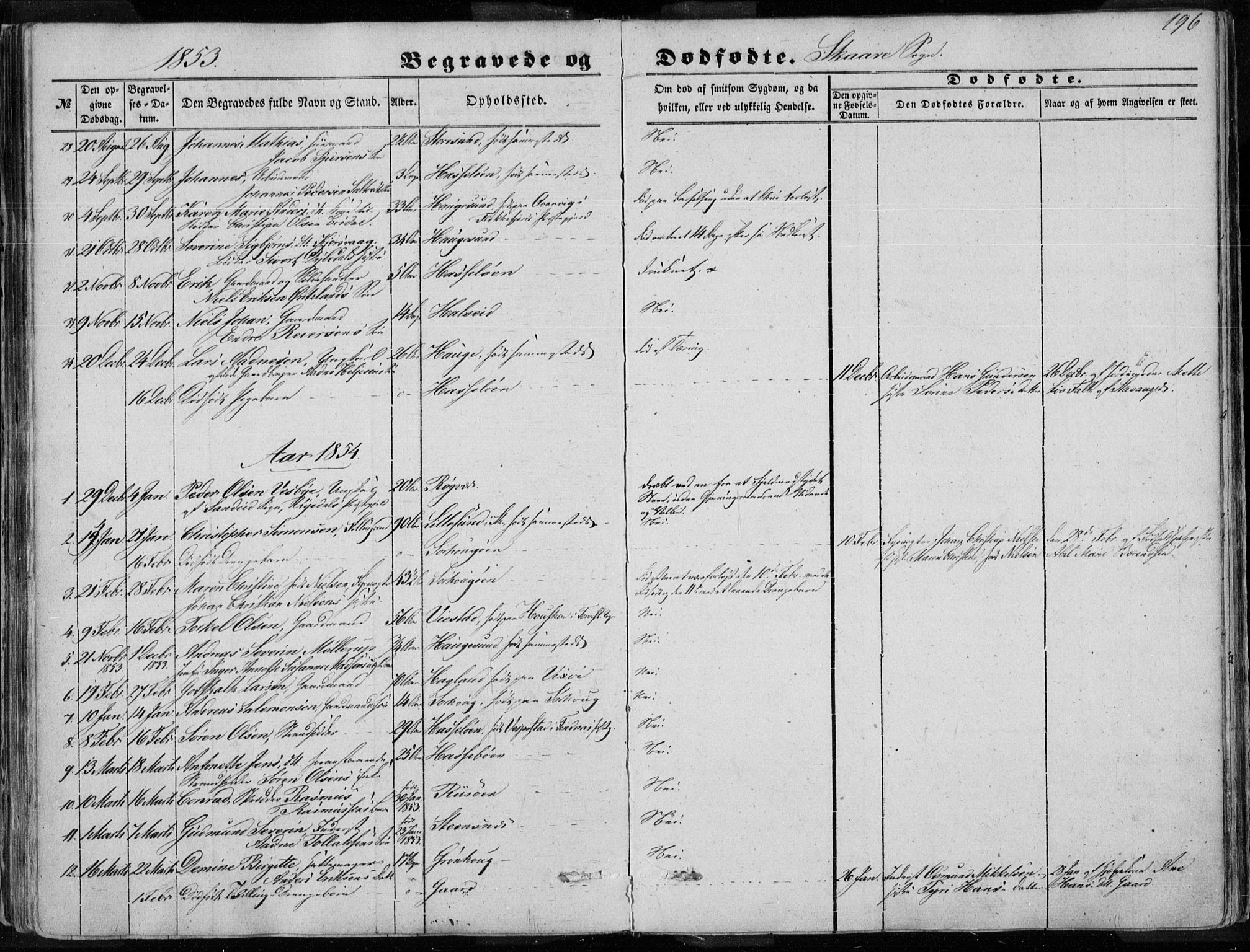 Torvastad sokneprestkontor, AV/SAST-A -101857/H/Ha/Haa/L0009: Parish register (official) no. A 9, 1847-1856, p. 196