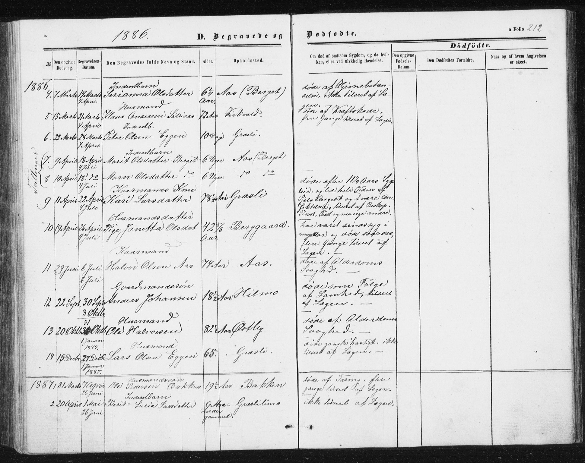 Ministerialprotokoller, klokkerbøker og fødselsregistre - Sør-Trøndelag, AV/SAT-A-1456/698/L1166: Parish register (copy) no. 698C03, 1861-1887, p. 212