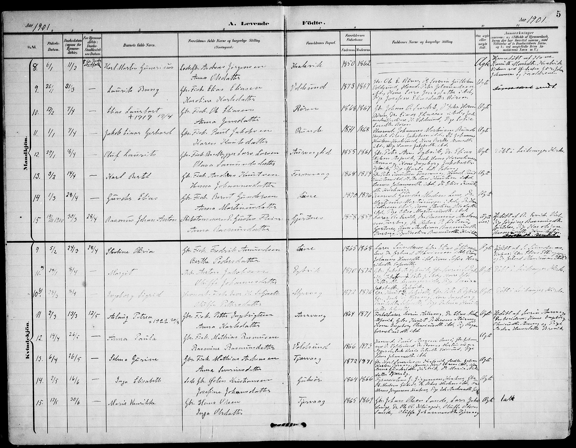 Ministerialprotokoller, klokkerbøker og fødselsregistre - Møre og Romsdal, AV/SAT-A-1454/507/L0075: Parish register (official) no. 507A10, 1901-1920, p. 5