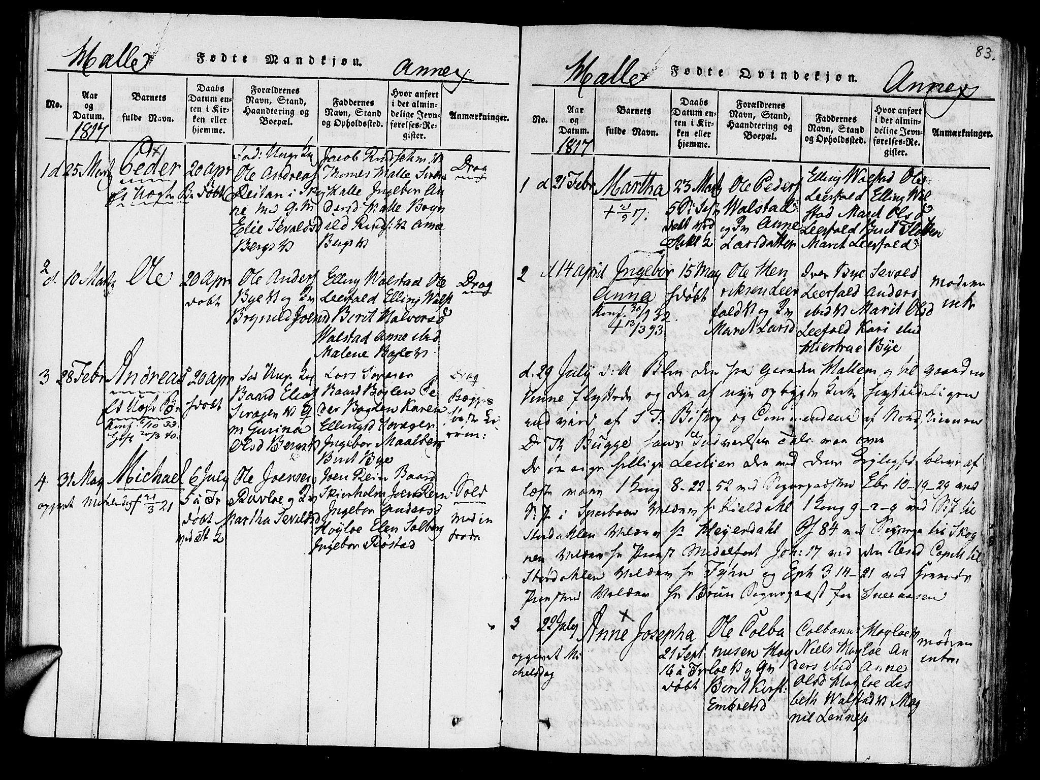 Ministerialprotokoller, klokkerbøker og fødselsregistre - Nord-Trøndelag, AV/SAT-A-1458/723/L0234: Parish register (official) no. 723A05 /3, 1817-1821, p. 83