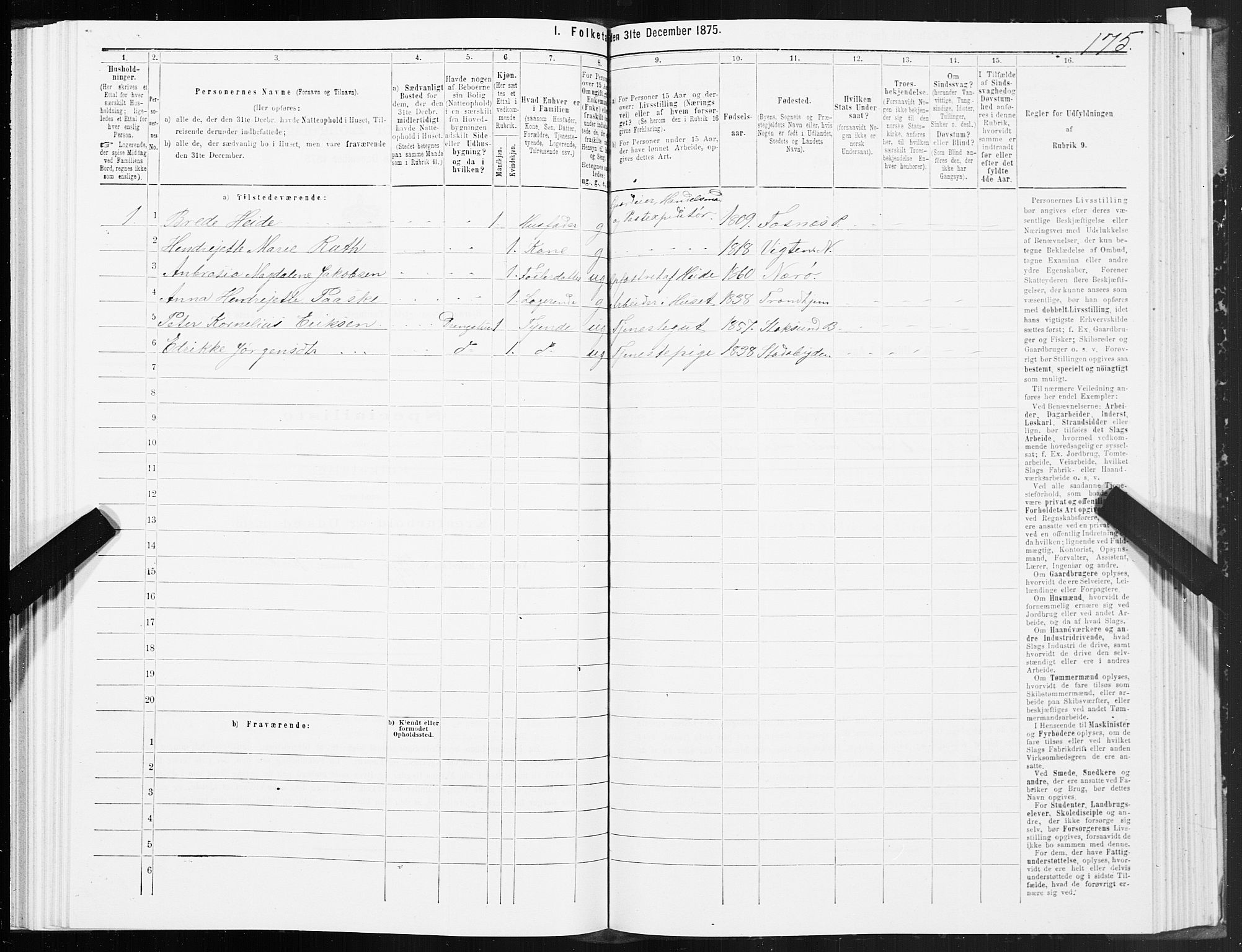 SAT, 1875 census for 1632P Bjørnør, 1875, p. 4175