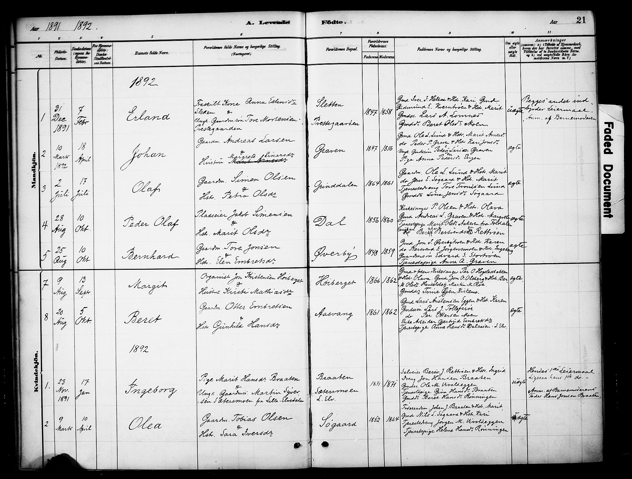 Tynset prestekontor, SAH/PREST-058/H/Ha/Haa/L0023: Parish register (official) no. 23, 1880-1901, p. 21