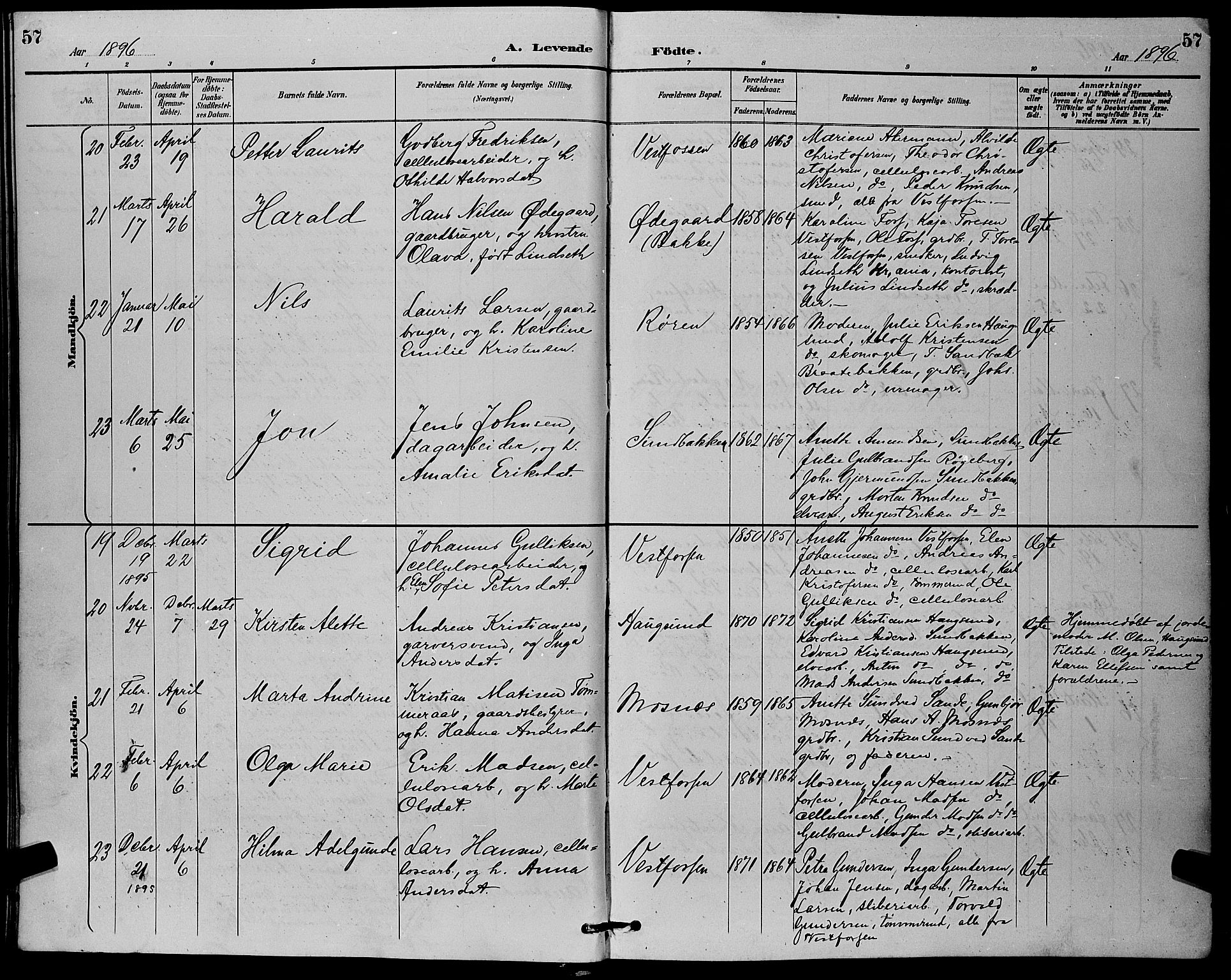 Eiker kirkebøker, AV/SAKO-A-4/G/Ga/L0007: Parish register (copy) no. I 7, 1893-1902, p. 57