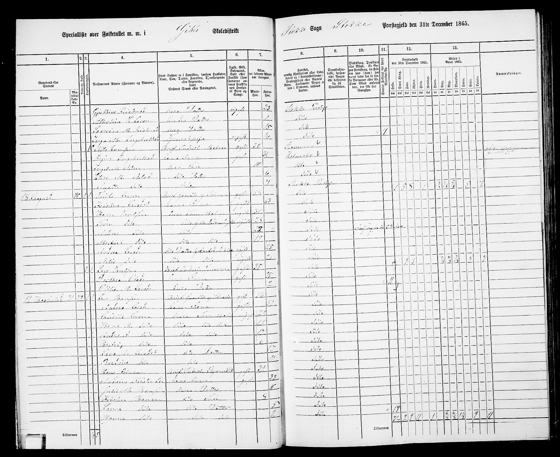 RA, 1865 census for Stokke, 1865, p. 33